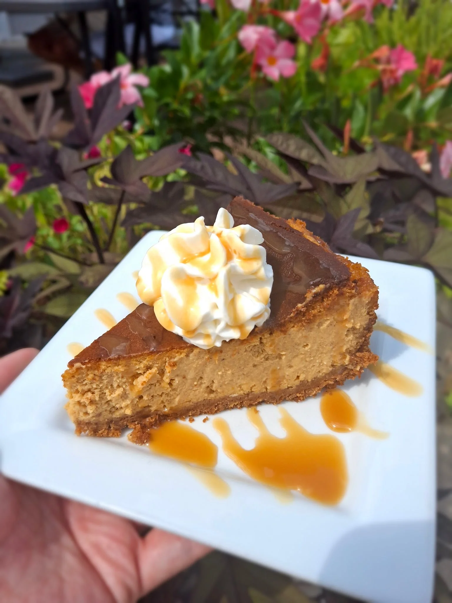 Pumpkin Spice Cheesecake