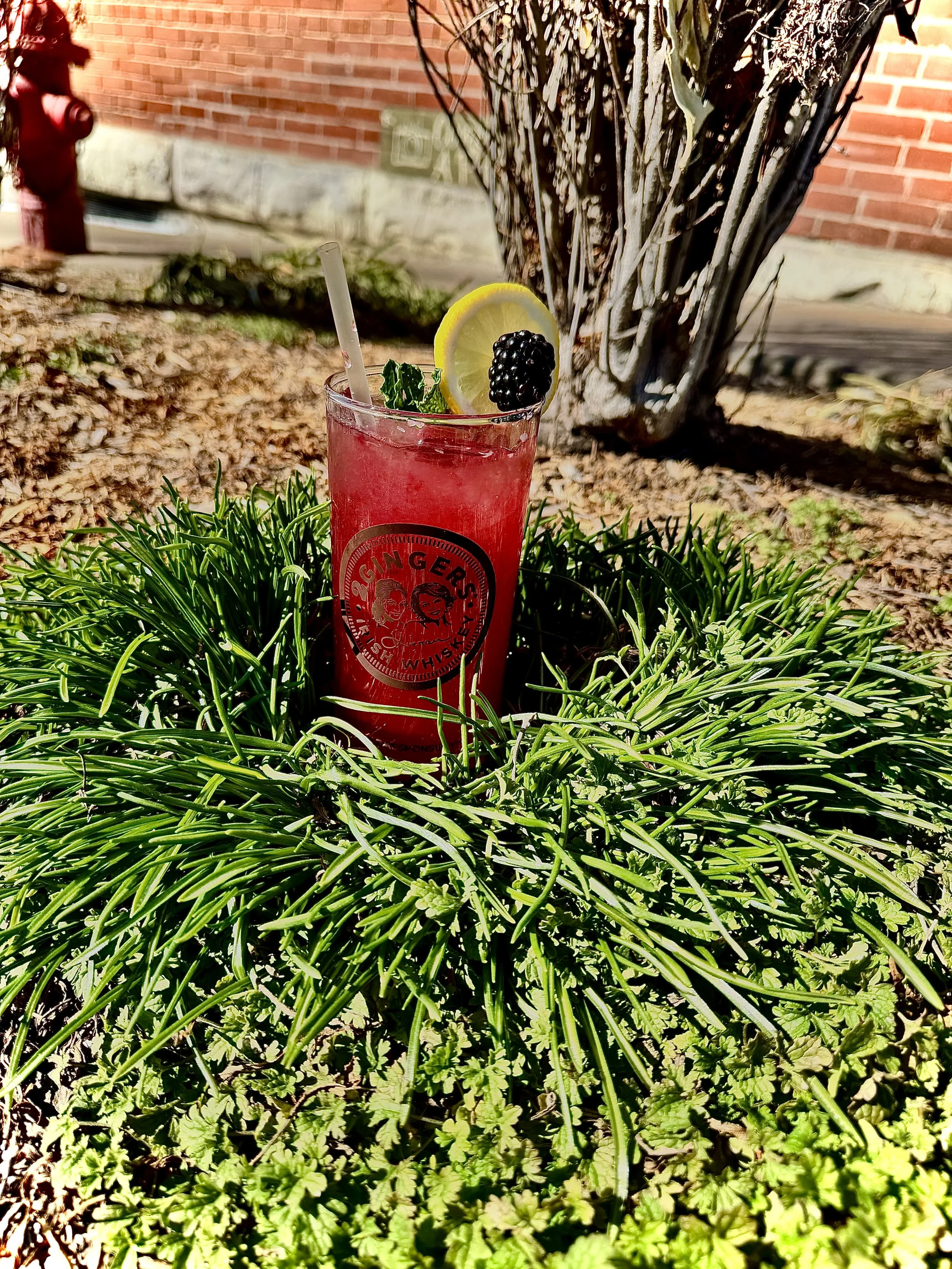 The Blackberry Rambler