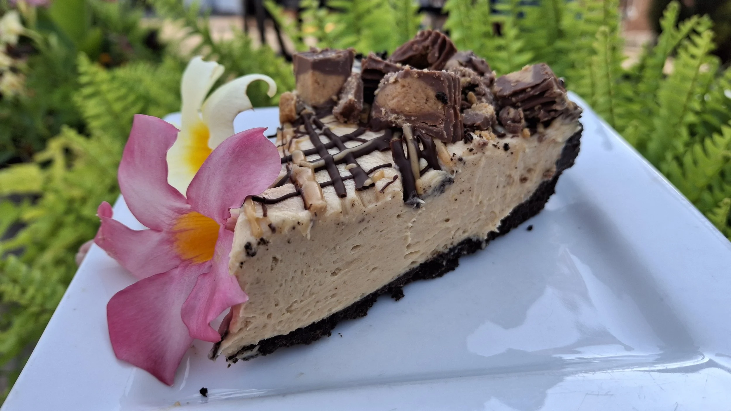 House- made Peanut Butter Pie!