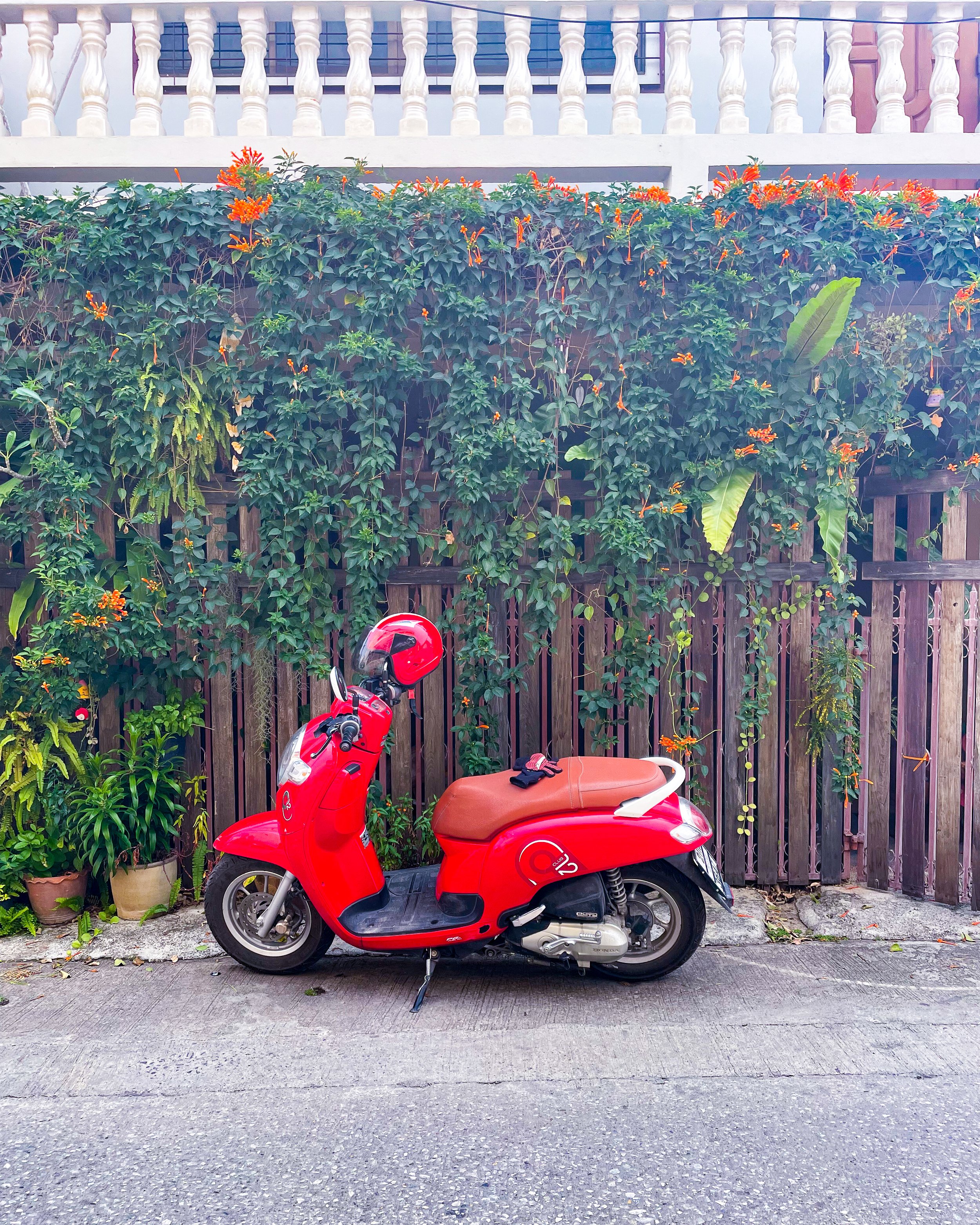 Chiang Mai 6-2.jpg