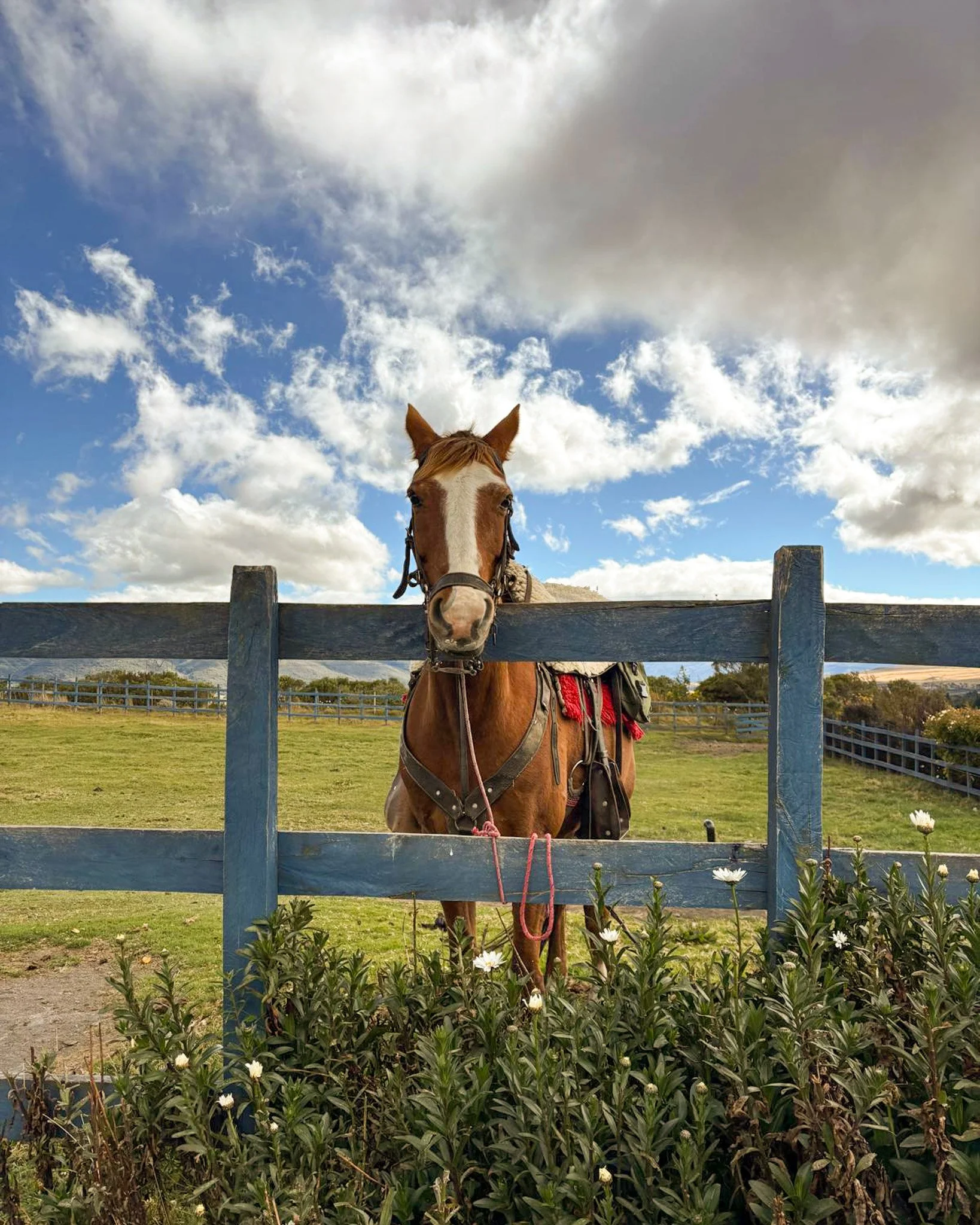 WhatsApp Image 2025-12-22 at 14.38.28 (15).jpg