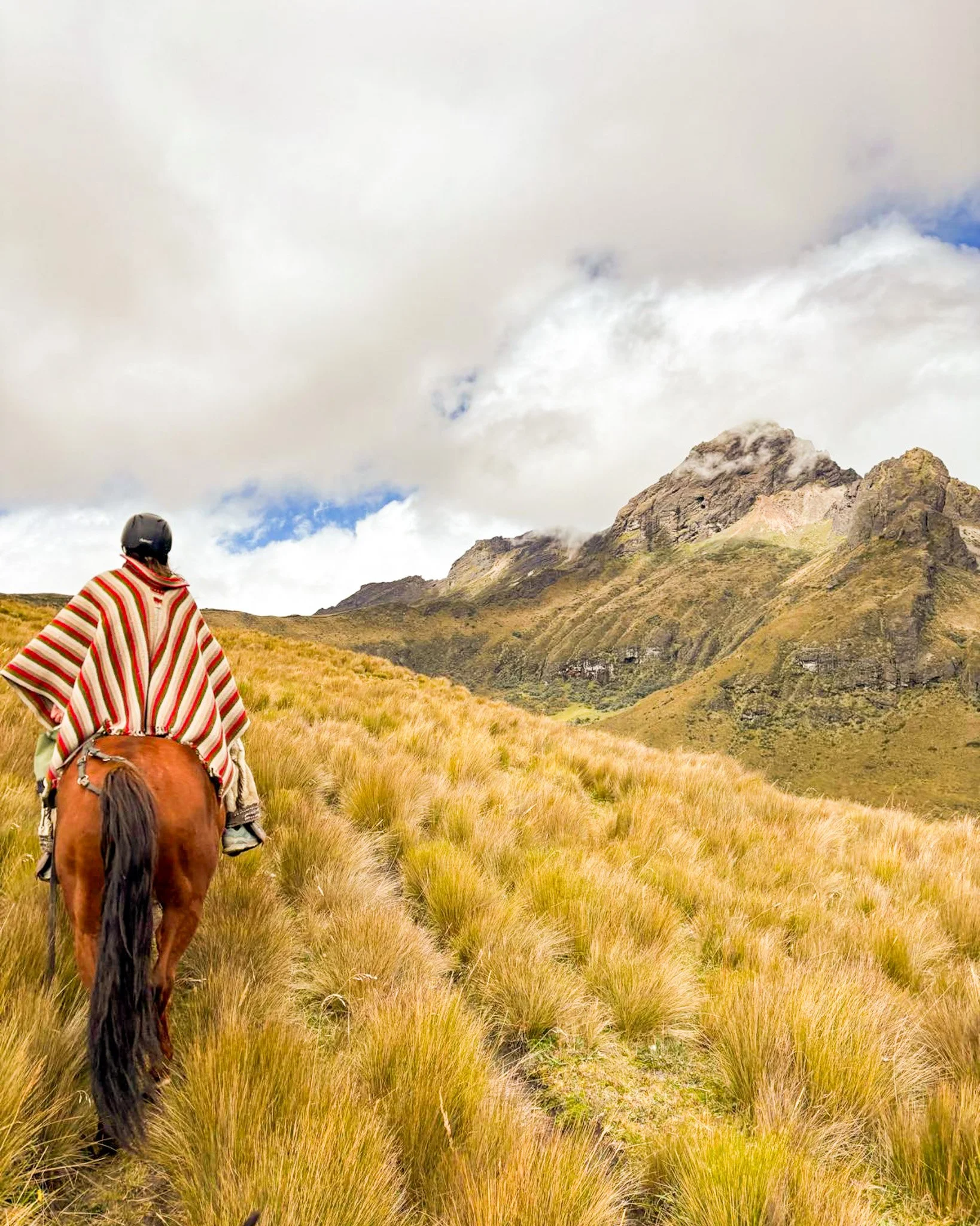 WhatsApp Image 2025-12-22 at 14.38.28 (19).jpg