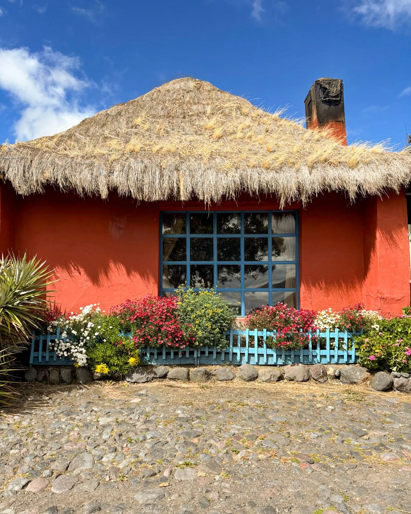 WhatsApp Image 2025-12-22 at 14.38.28 (2).jpg