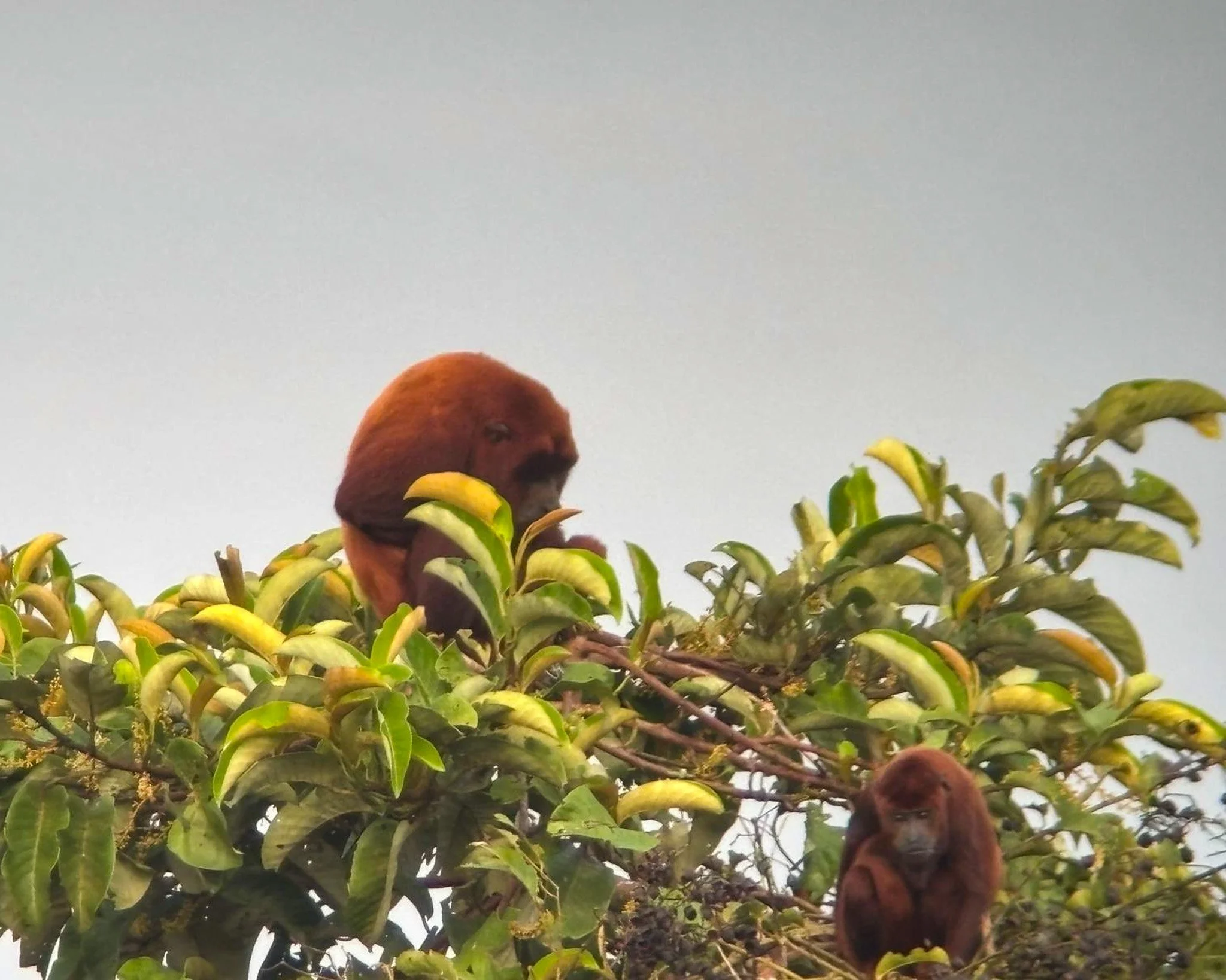 WhatsApp Image 2025-12-22 at 14.38.28 (45).jpg