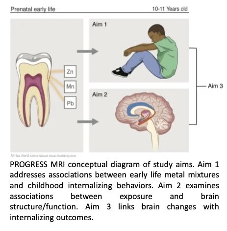 PROGRESS MRI graphic diagram.jpg
