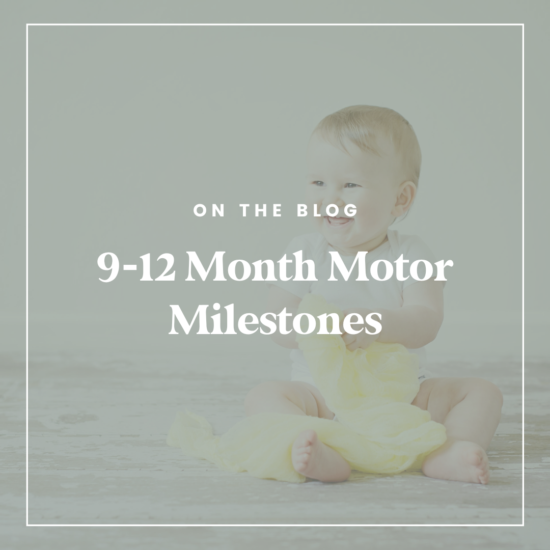 9-12 Month Motor Milestones
