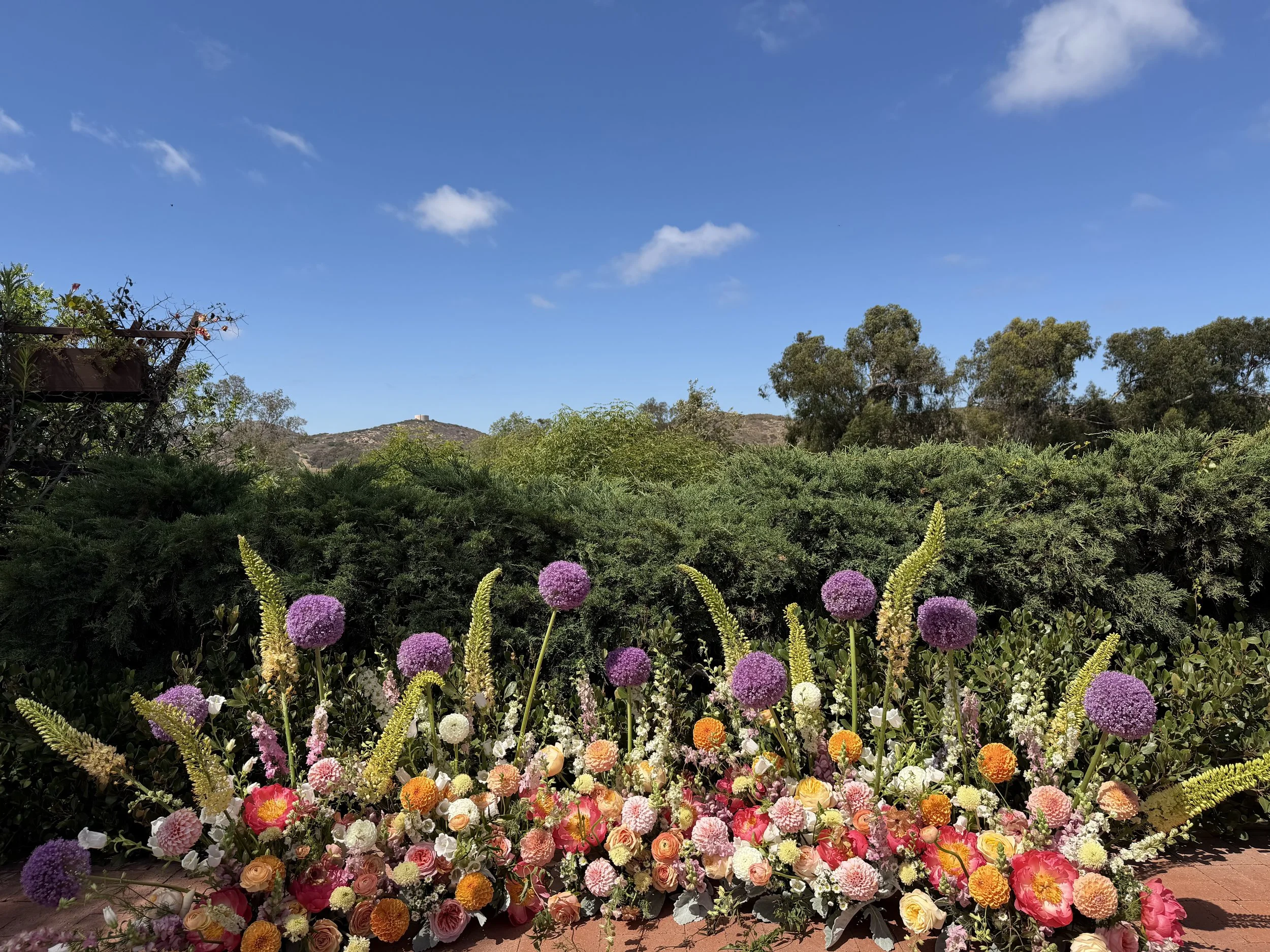 Colorful flower display with purple, pink, orange, and white blooms in a garden set against a backdrop of green trees, hills, and a bright blue sky with a few clouds.