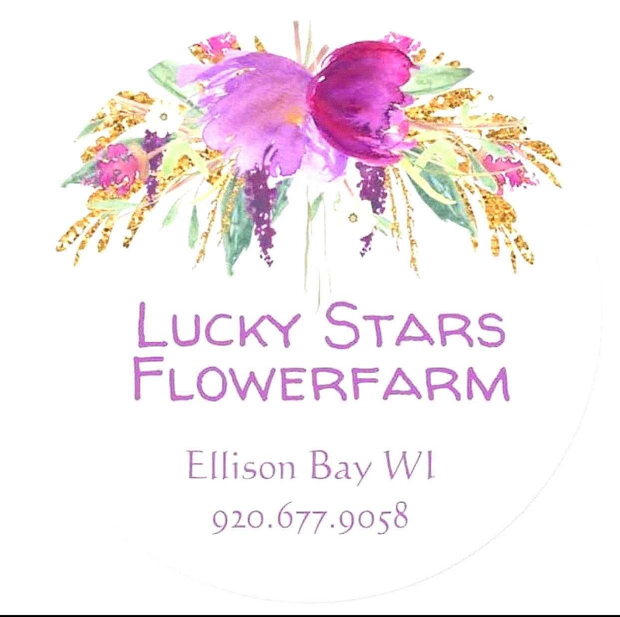 Lucky Stars Flowerfarm