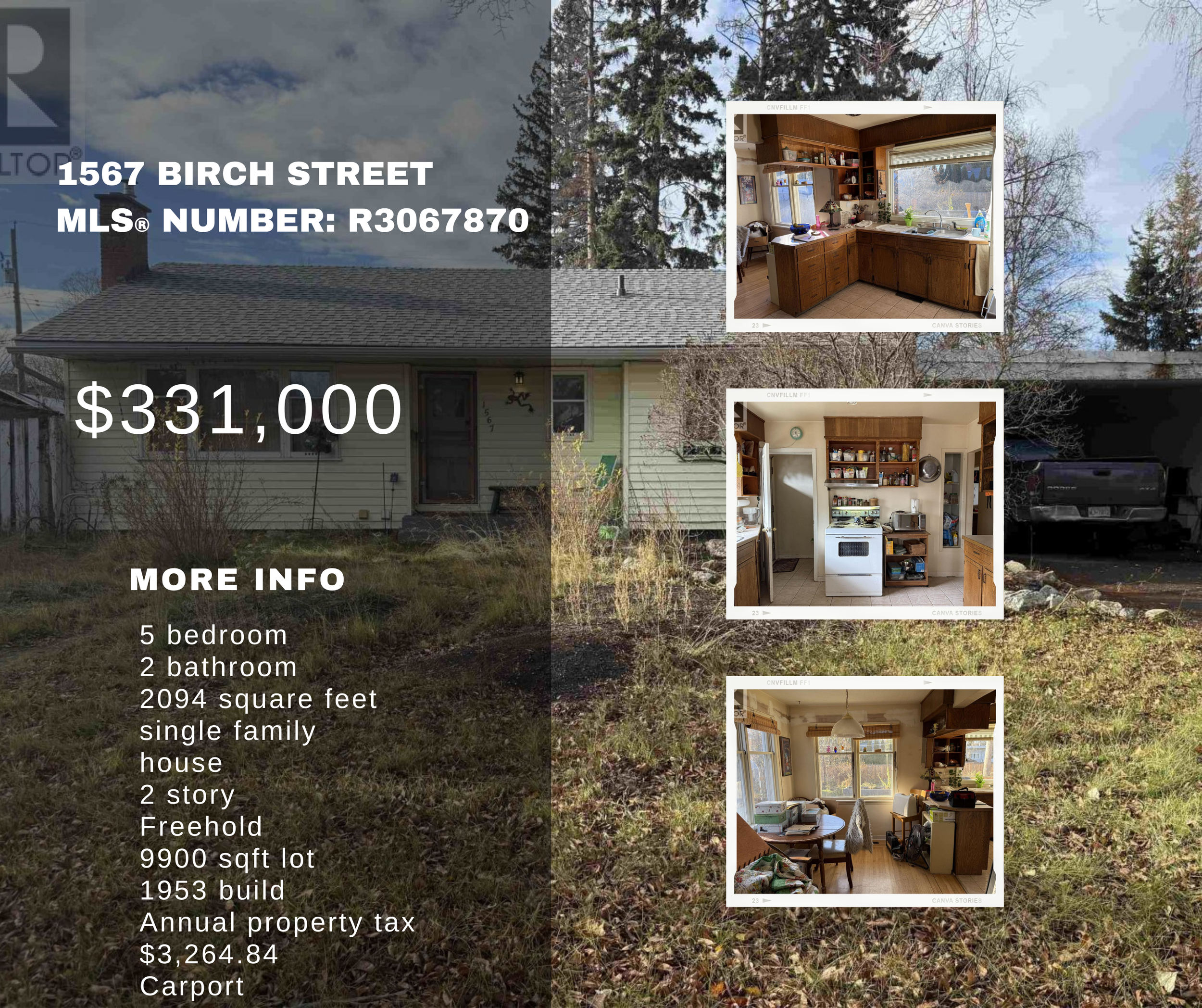 1567 Birch website.png