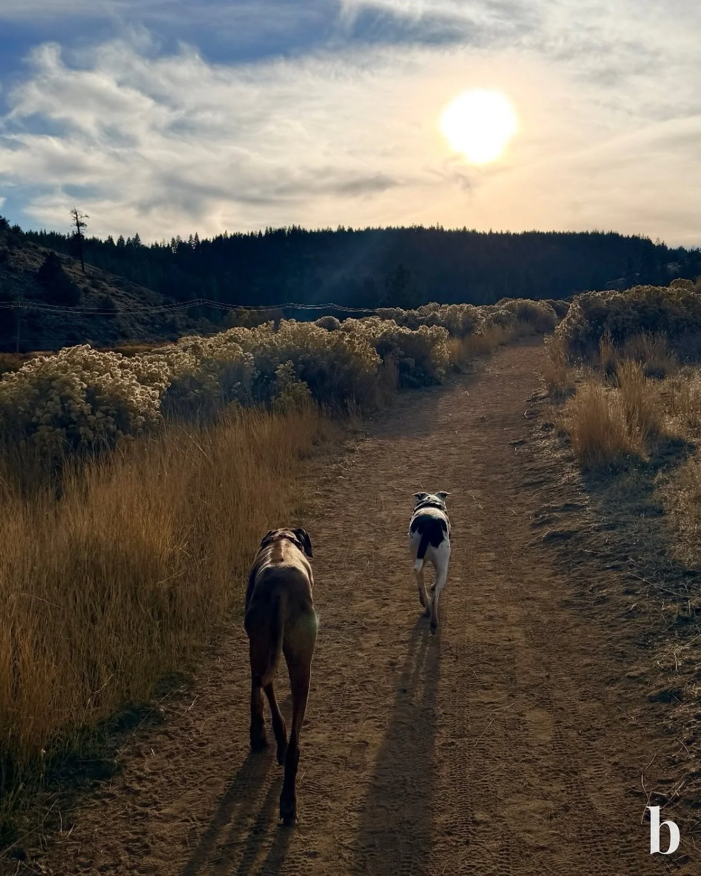 Not every adventure is about going somewhere new. Sometimes it&rsquo;s about finding your way back to what matters most. 🌄💛

If you&rsquo;re ready for a change of scenery, let&rsquo;s talk about what your next home looks like for you. 🏡

#badgleyh