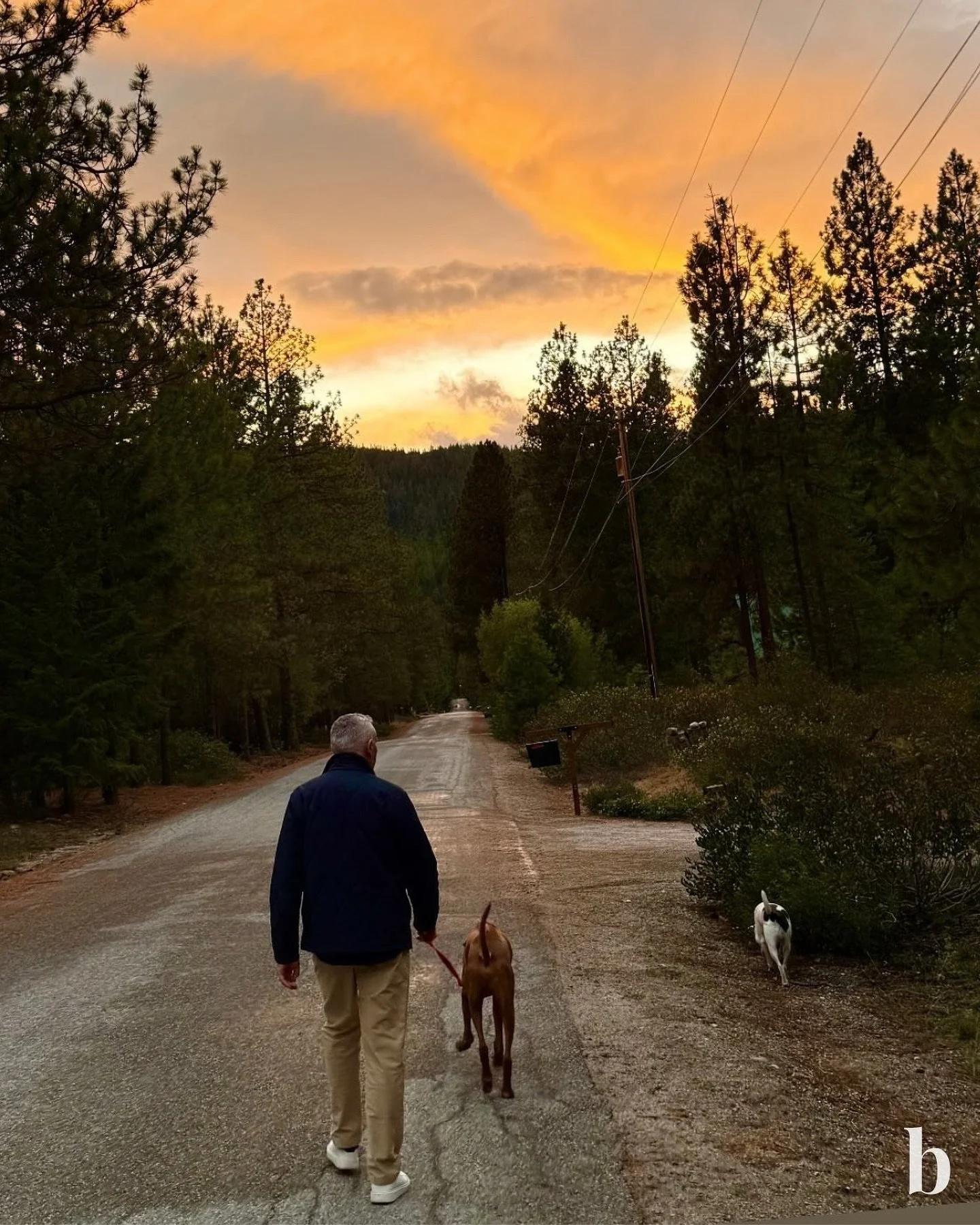 There&rsquo;s nothing like fresh air, good company, and a beautiful place to call home. 🌲🐶

#nationaltakeahikeday #badgleyhomes #pnw #sunset #home