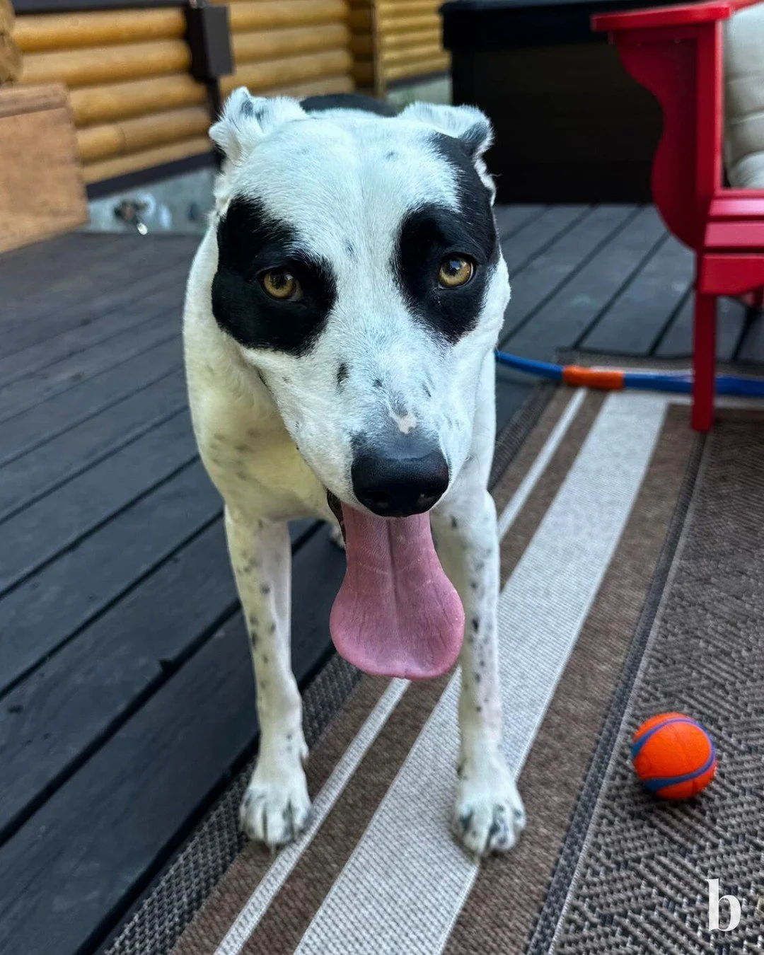 Buying your first home can feel like a tough matchup. And most first-time buyers stay on the sidelines waiting for the &ldquo;perfect&rdquo; play. But buyers who win don&rsquo;t wait for an assist; they take the ball and run.

Follow this game plan:
