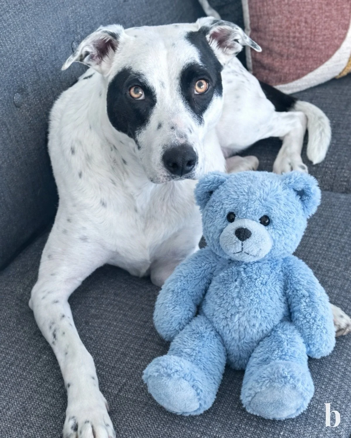 We&rsquo;re proud to be part of a brokerage that leads with generosity and care. 🏡💙

The work of the @WindermereFoundation is a reminder of how much can happen when a community comes together with intention and generosity. In 2025 alone, the Winder