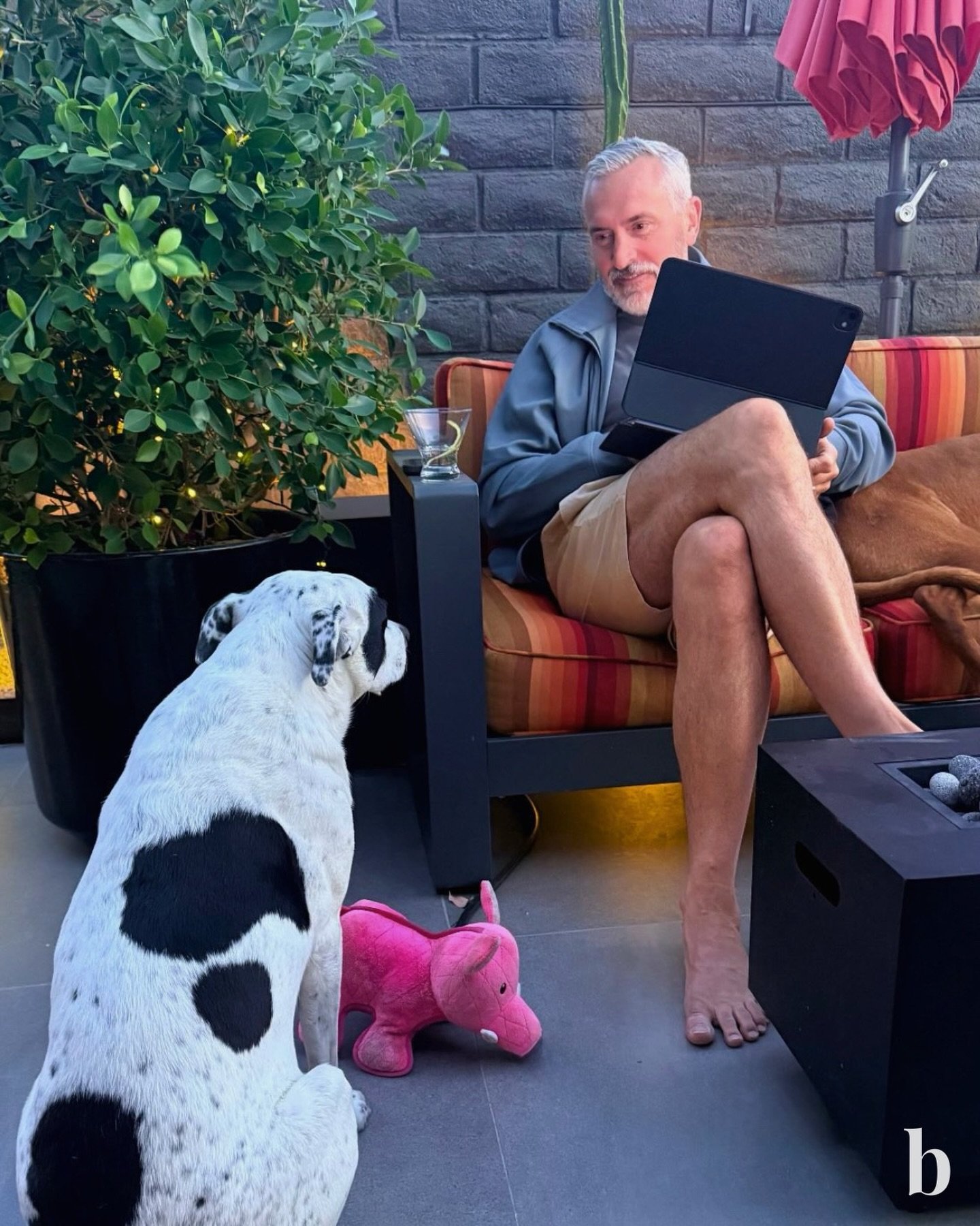 In real estate, the laptop tends to follow you, along with at least one very patient coworker waiting for the &ldquo;meeting&rdquo; to end. 🐾

#realestateneversleeps #seattlerealestate #realestateteam #badgleyhomes #fridayfeeling