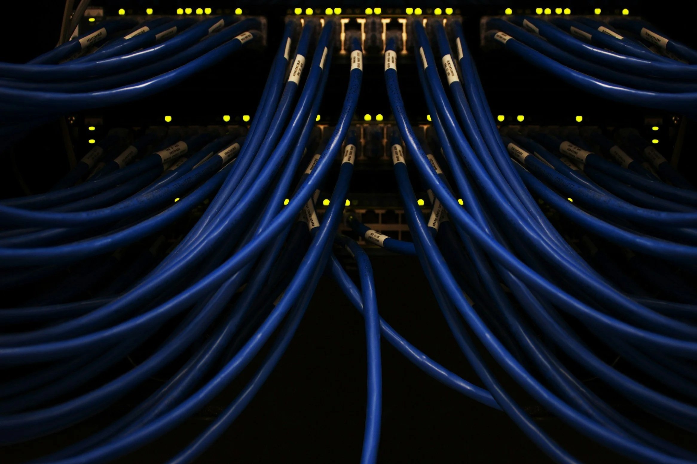 Blue Ethernet cables connected to a network switch or server, with yellow indicator lights in a data center or networking environment.