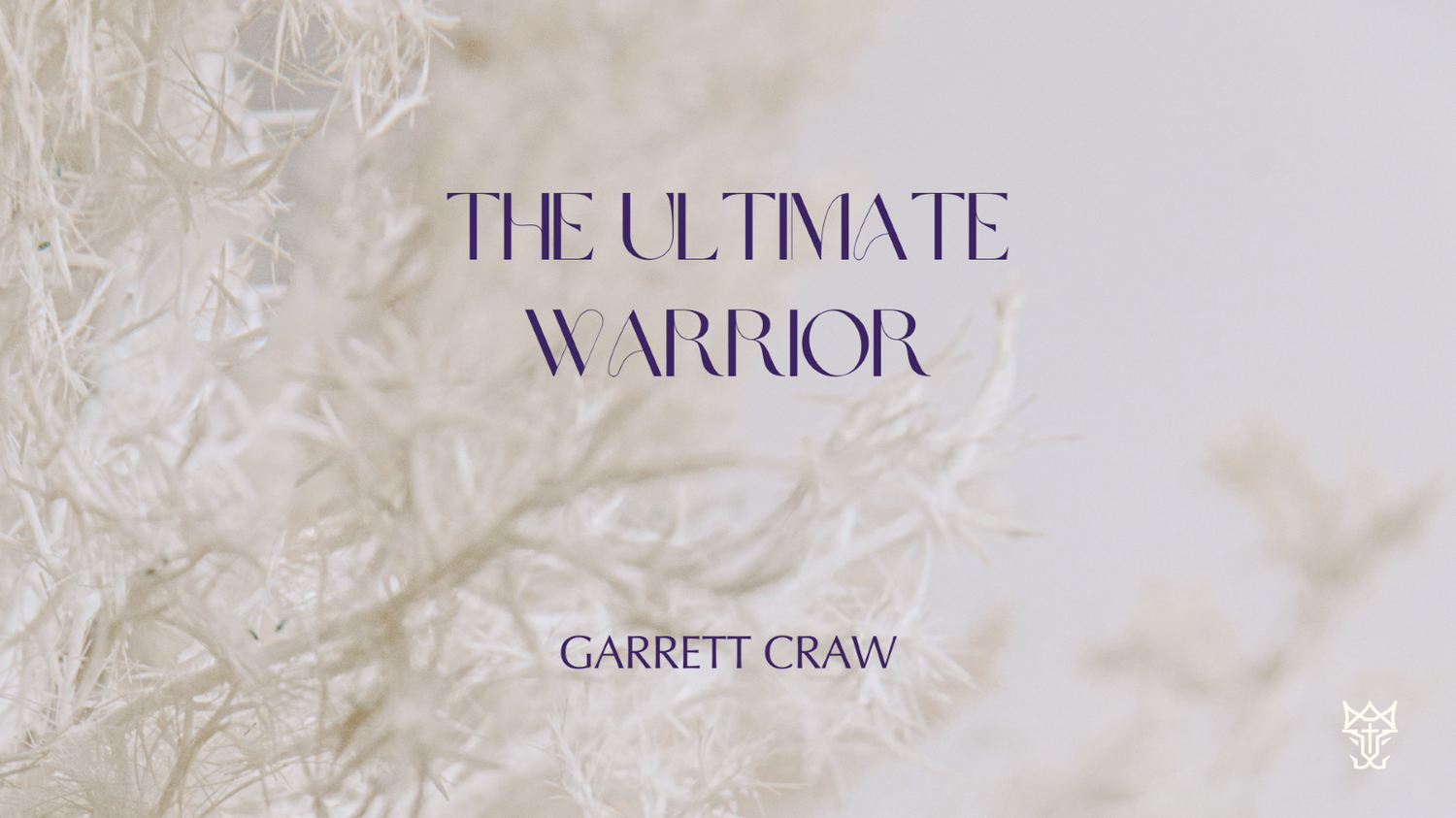 The Ultimate Warrior episode artwork