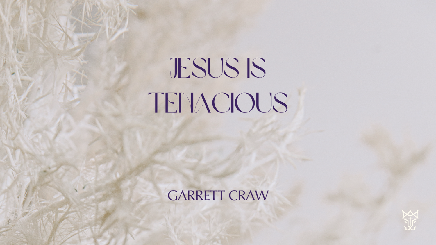 Jesus is Tenacious episode artwork