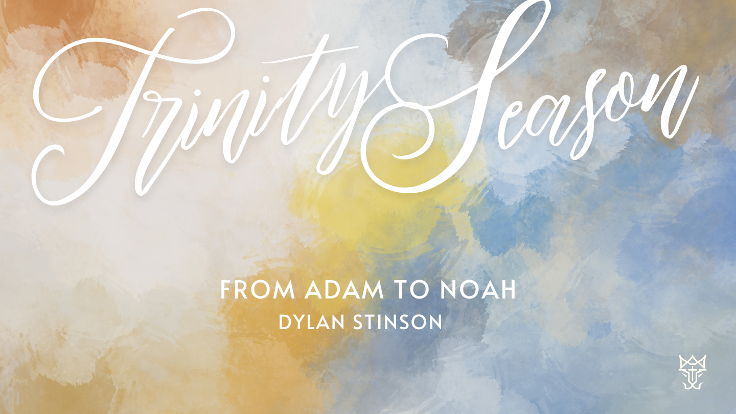 From Adam to Noah episode artwork
