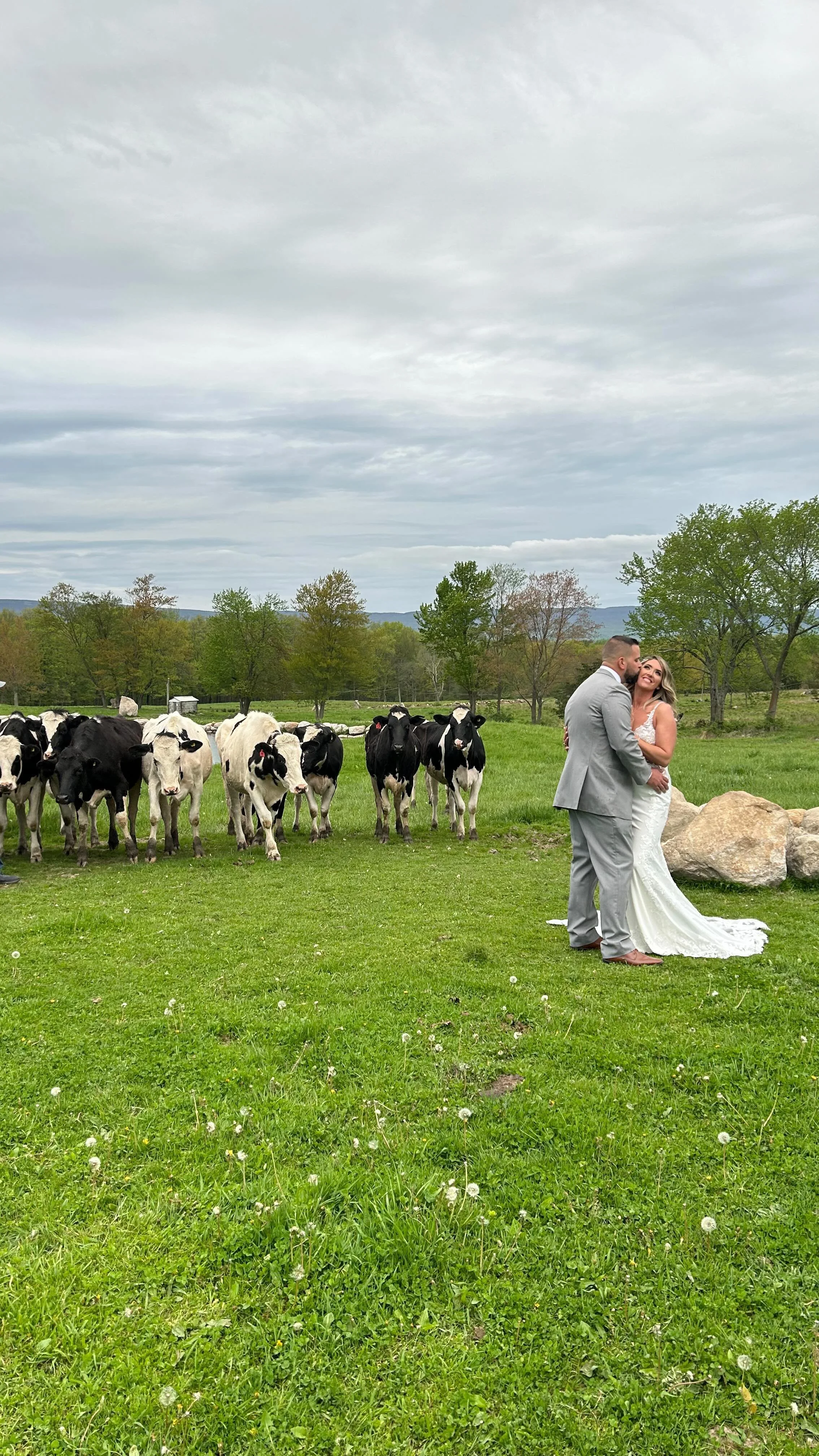 Gallery — Thompson Ridge View Farm