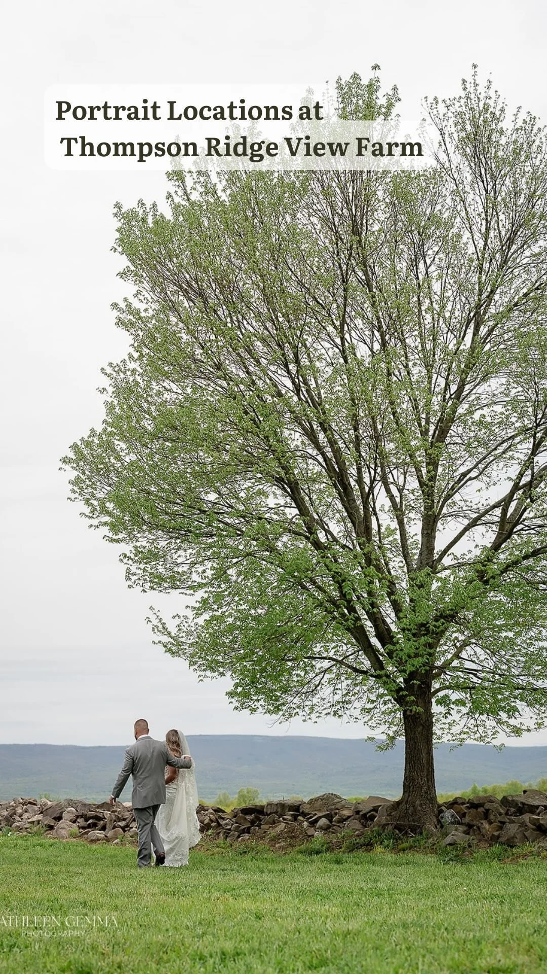 Gallery — Thompson Ridge View Farm