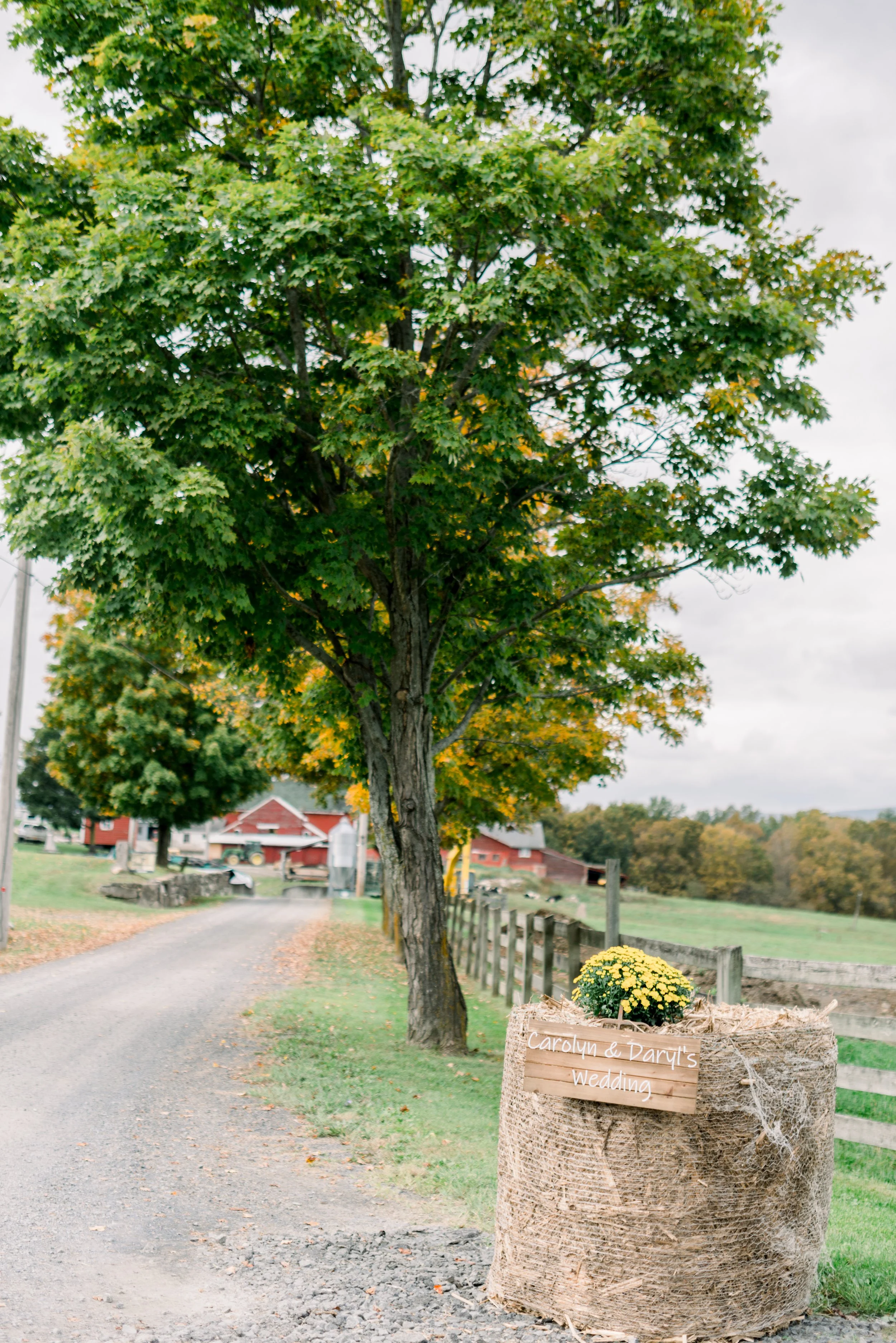 NicoleDeTonePhotography_Carolyn+Daryl_10.9.21-169.jpg