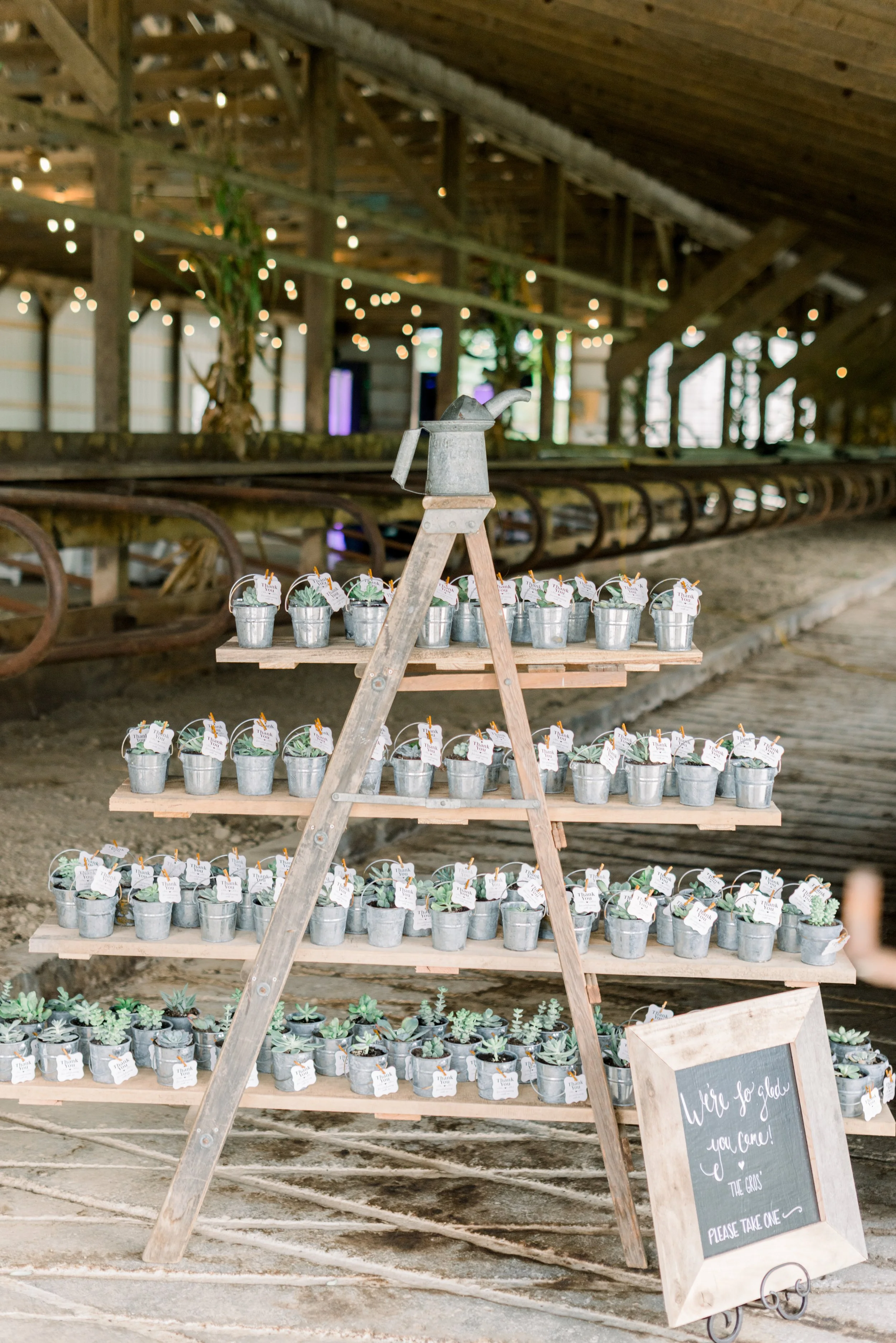 NicoleDeTonePhotography_Carolyn+Daryl_10.9.21-553.jpg