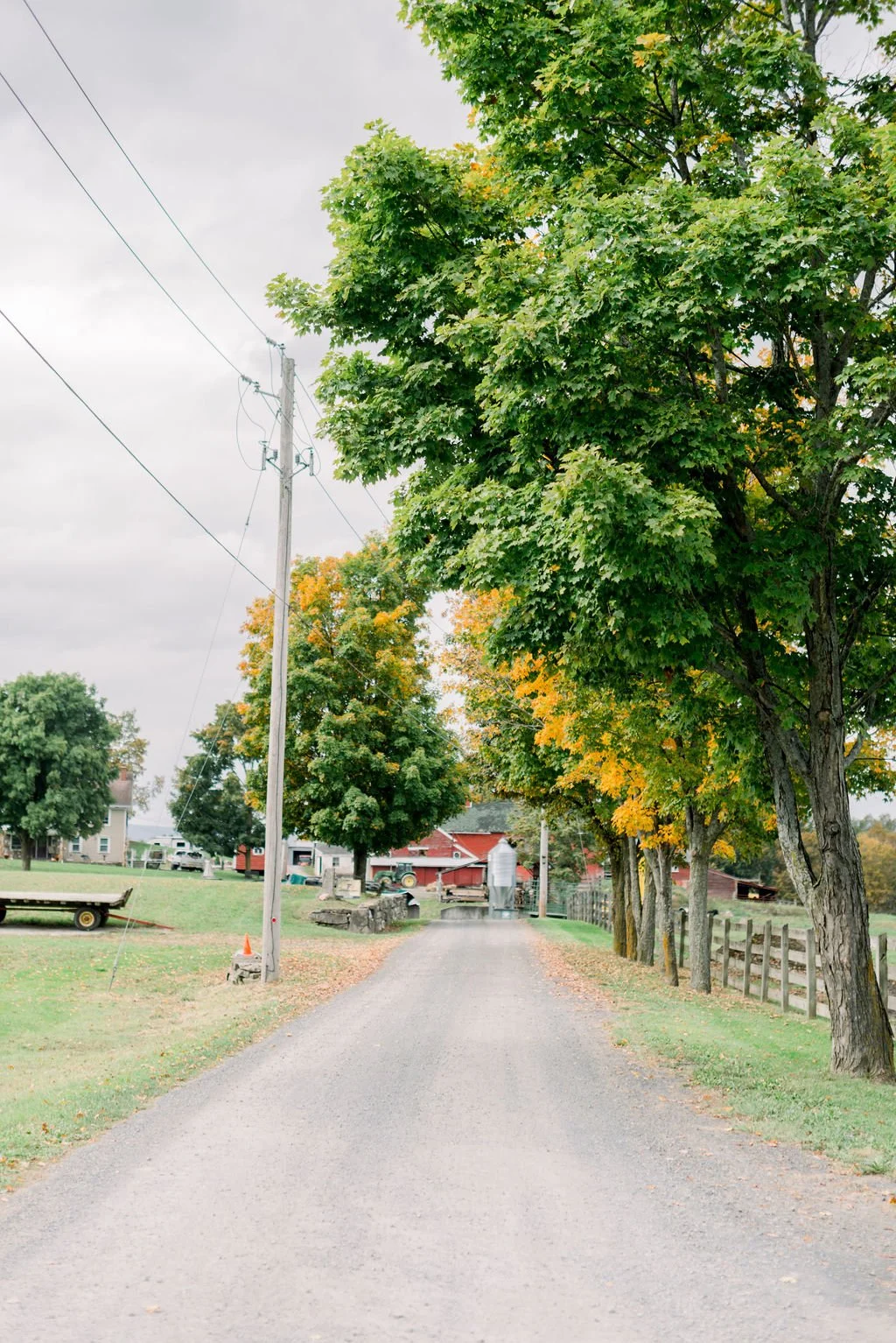 NicoleDeTonePhotography_Carolyn+Daryl_10.9.21-170.jpg