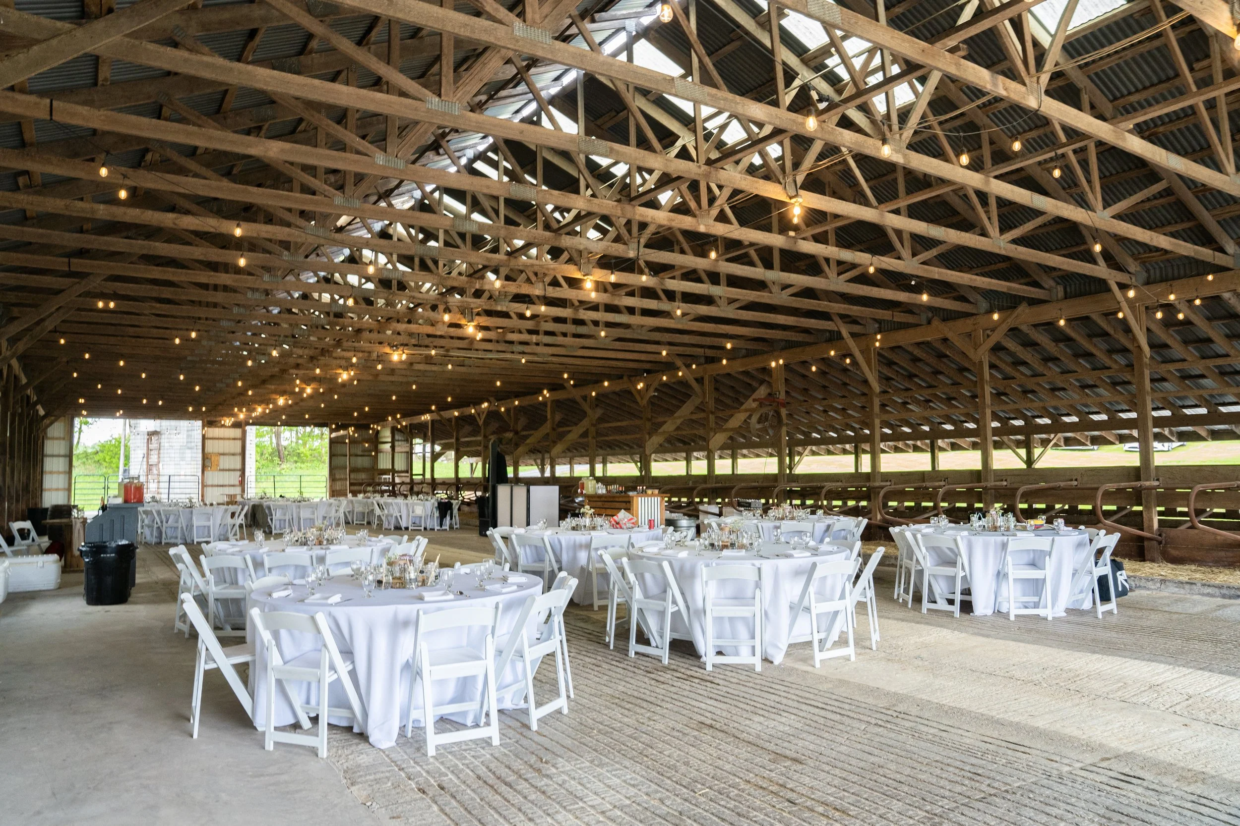 Lorrain Cicarelli Photography