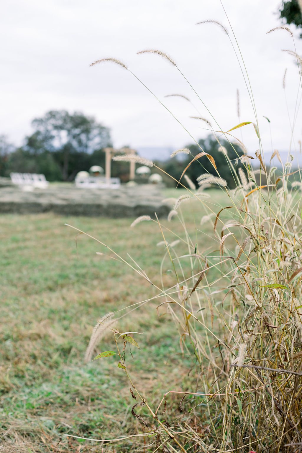 NicoleDeTonePhotography_Carolyn+Daryl_10.9.21-171.jpg