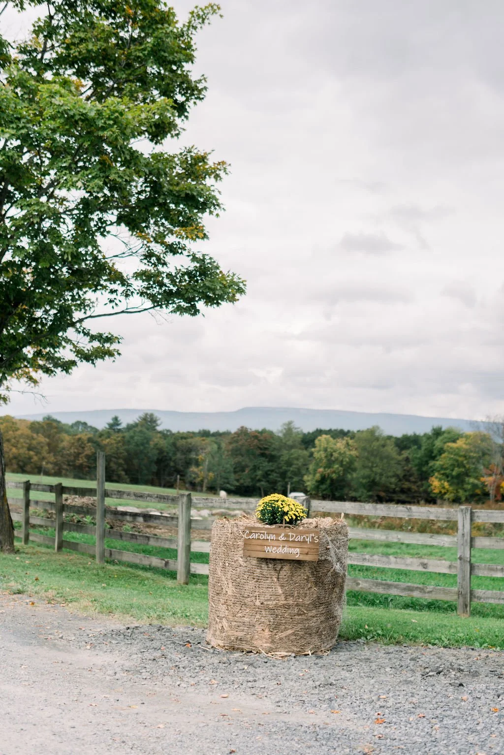 NicoleDeTonePhotography_Carolyn+Daryl_10.9.21-168.jpg
