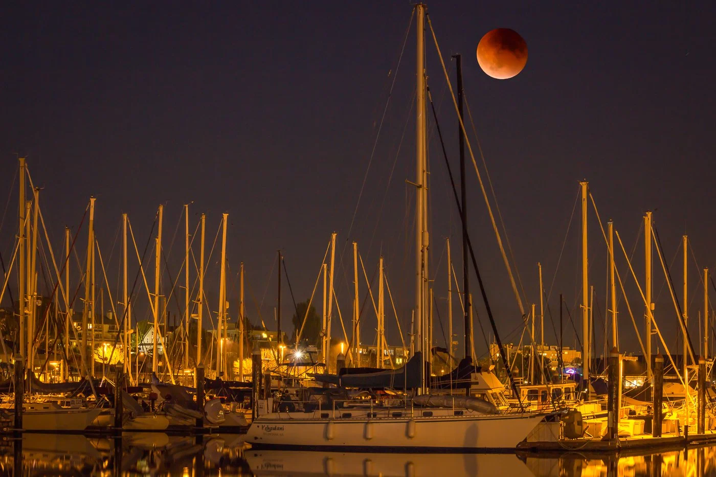 Marina Moon 2.jpg