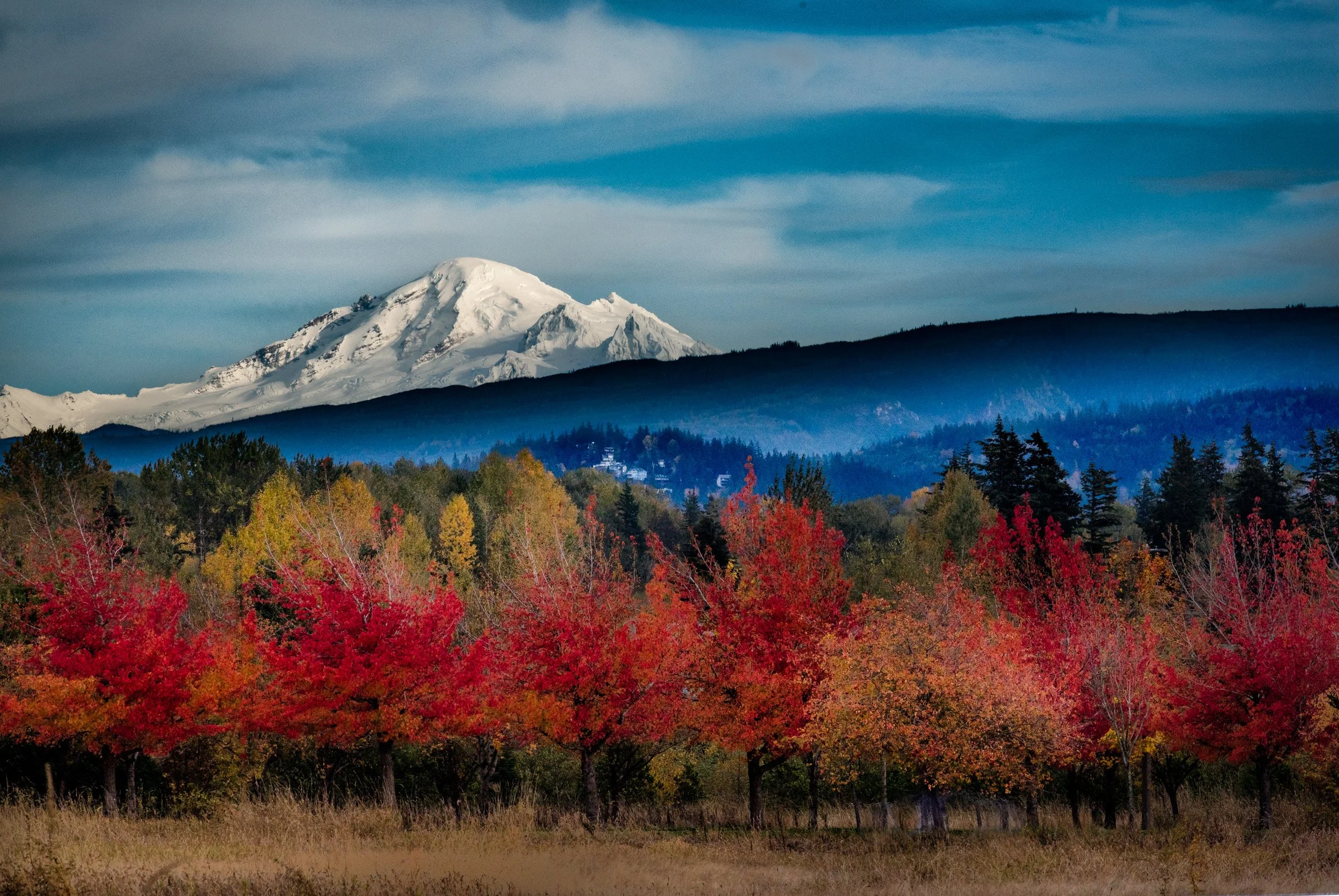 Mt Baker from Cordata.jpg