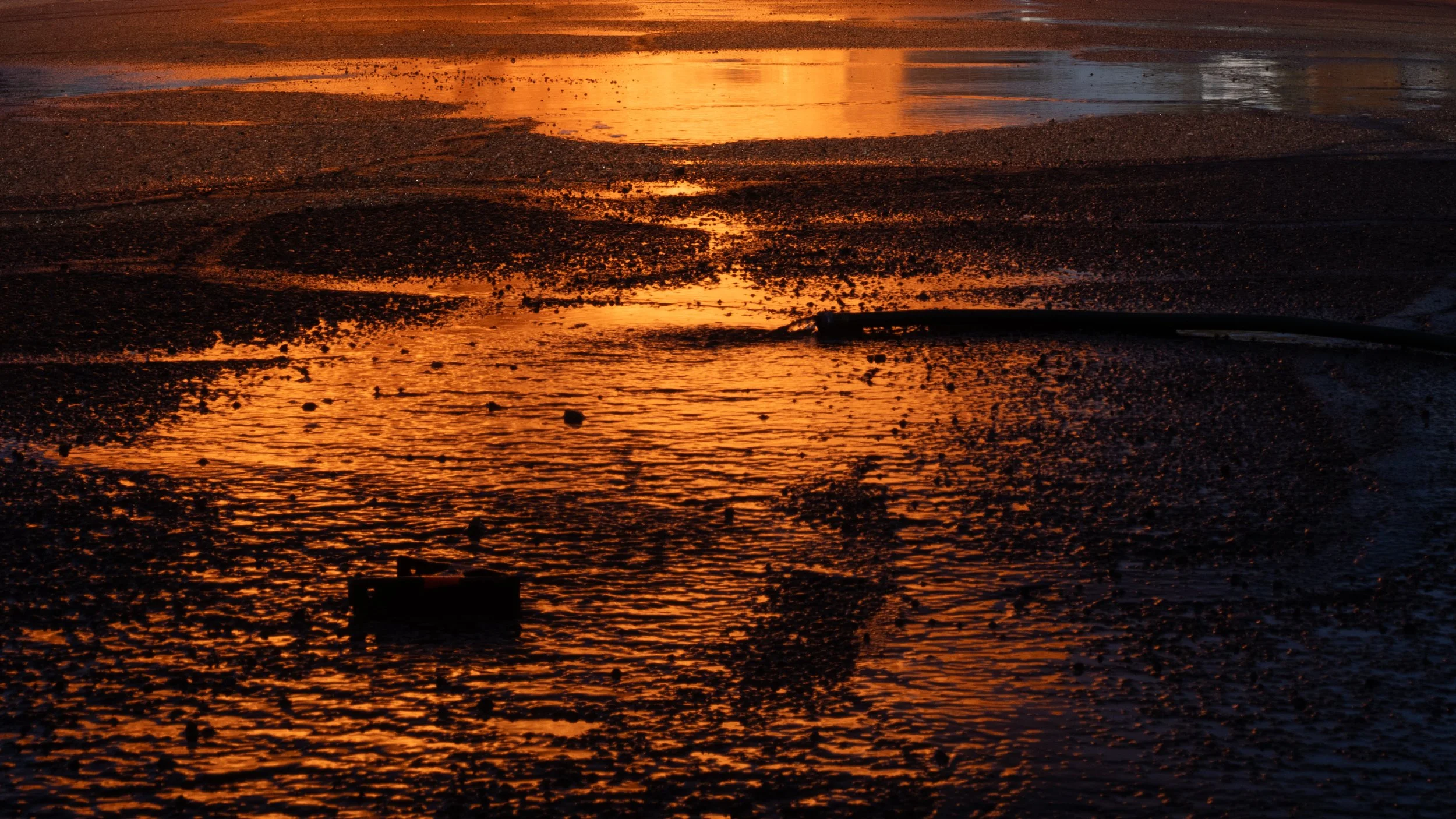 Selects1 copy 8.jpg