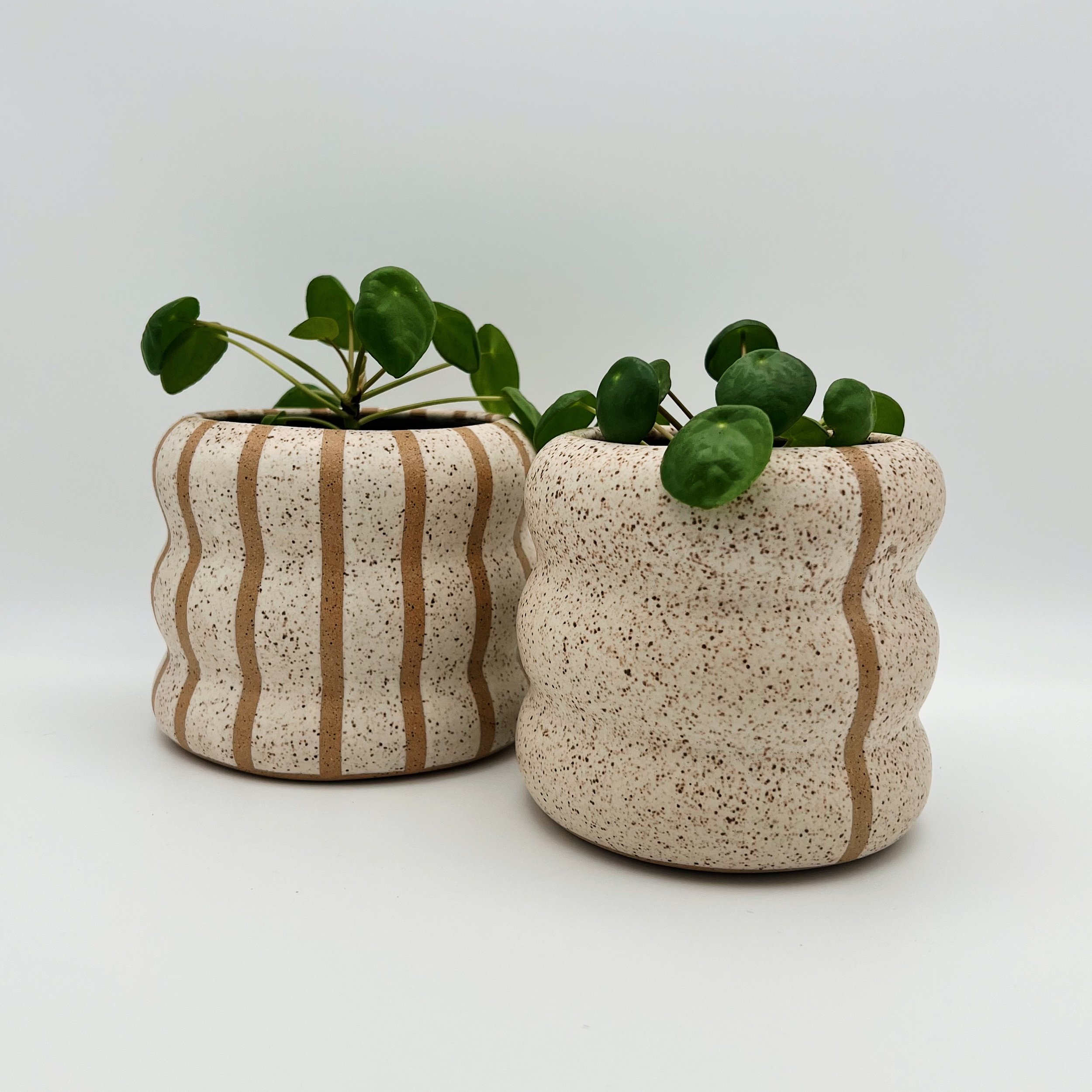 Both planters copy.jpg