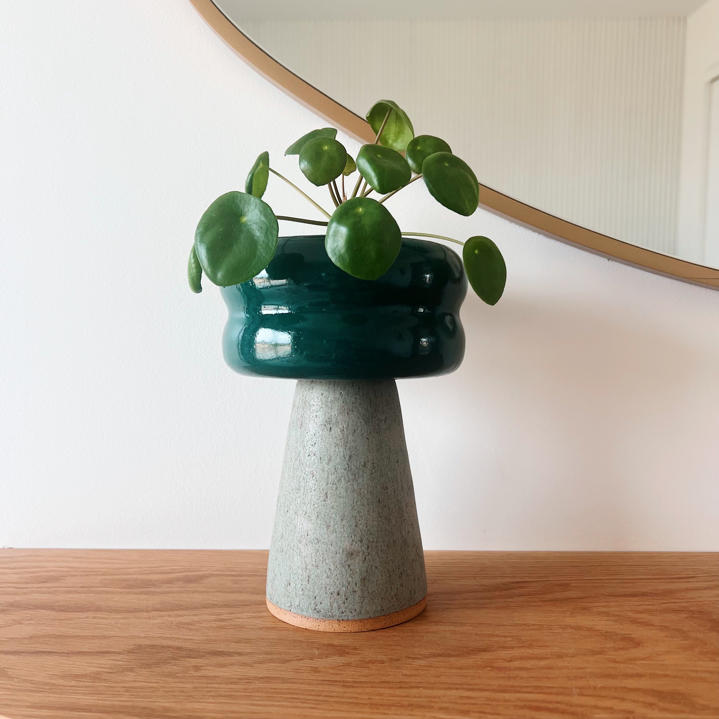 Plant on shelf.jpg