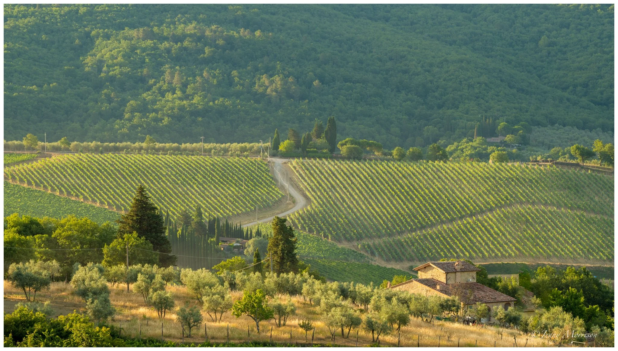 Good Morning in Tuscany Village