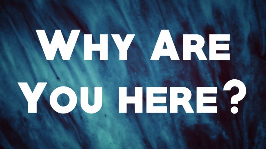 Why Are You Here?