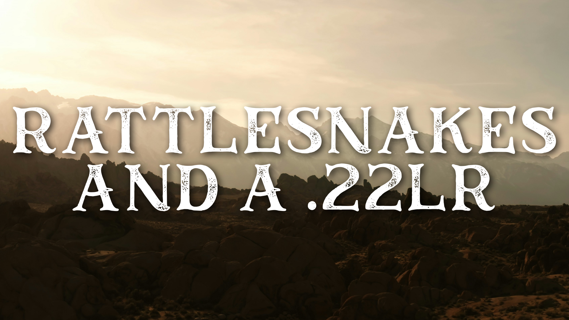 Rattlesnakes and a .22LR