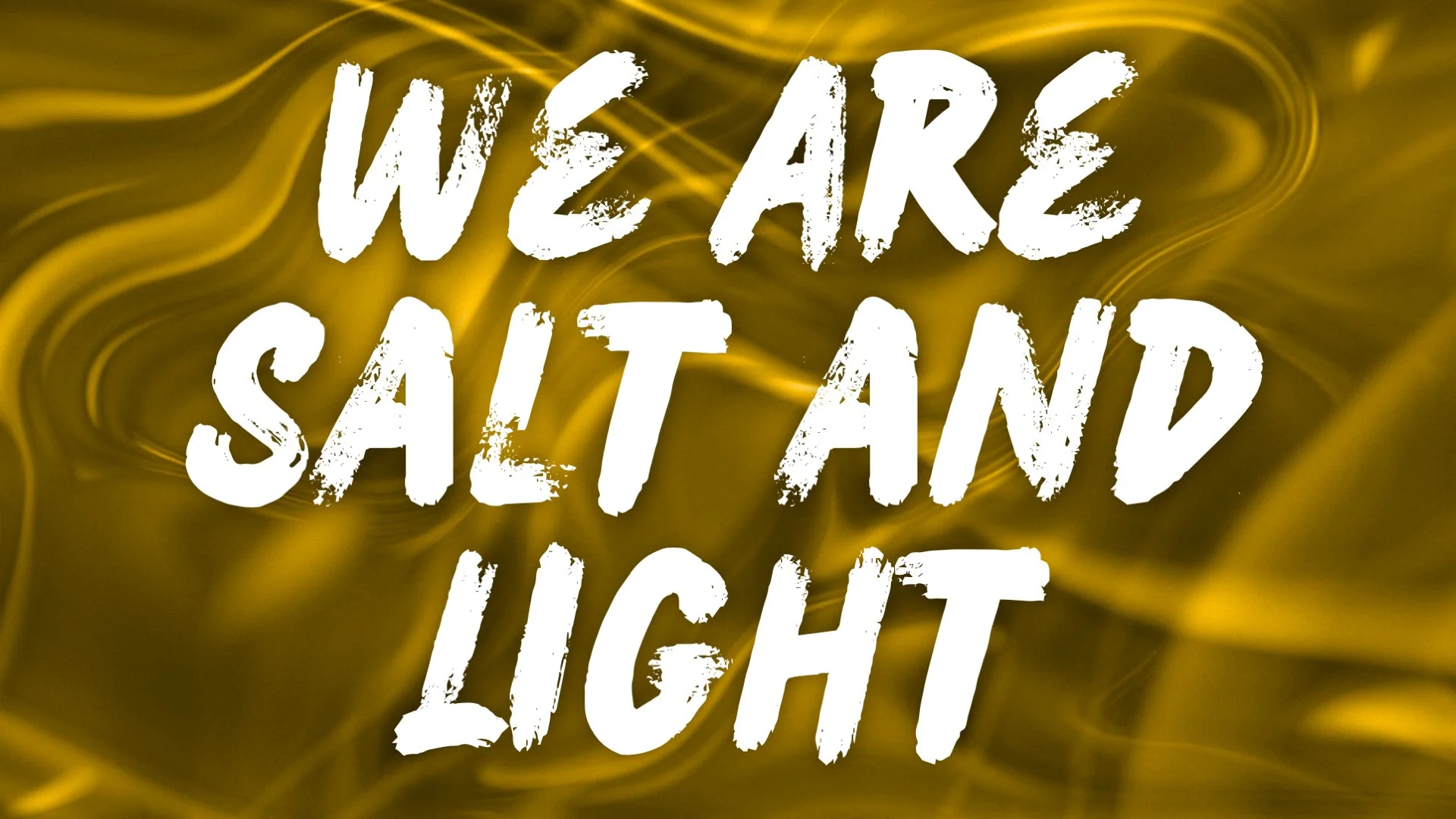 We Are Salt and Light