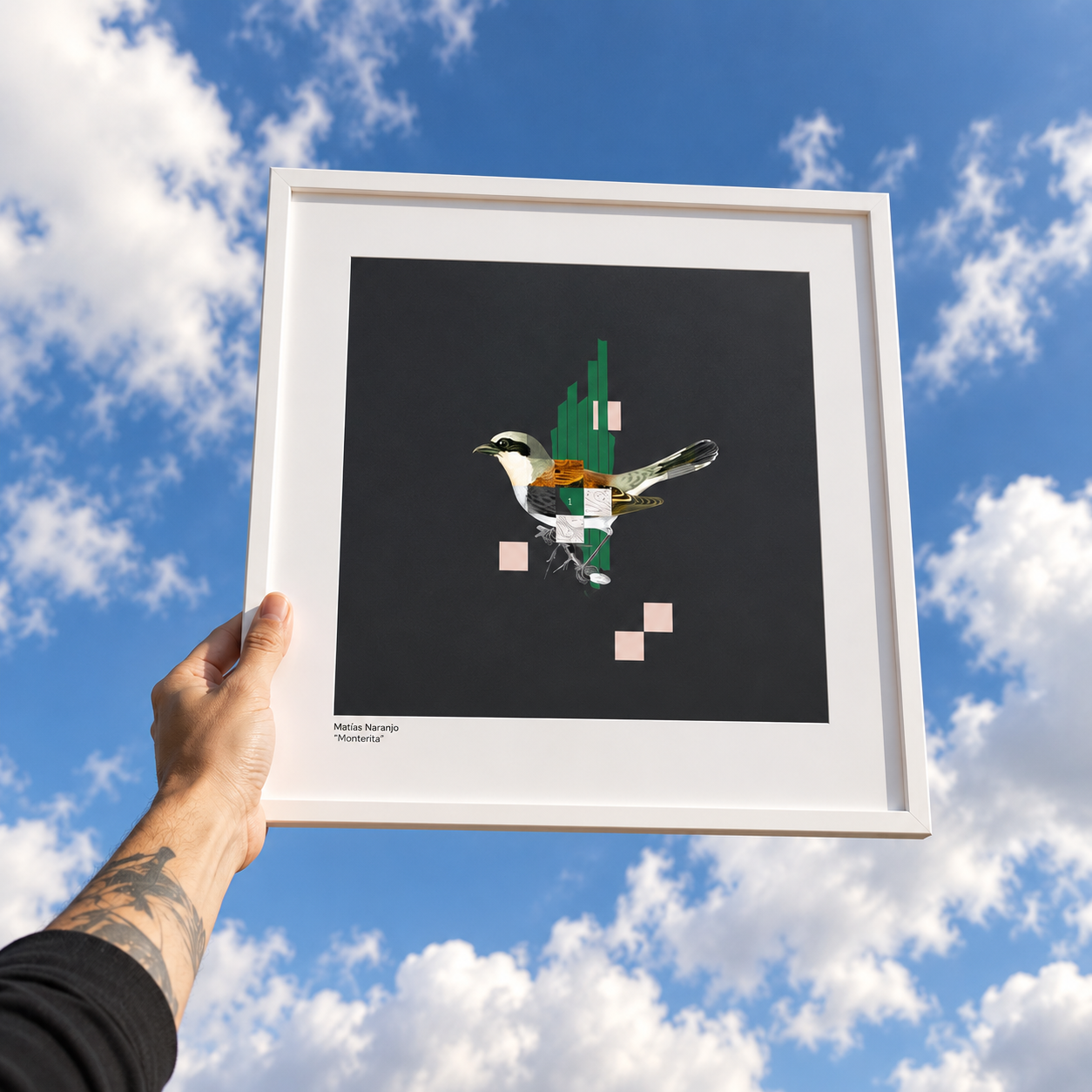 Arte enmarcado bajo el cielo azul.png