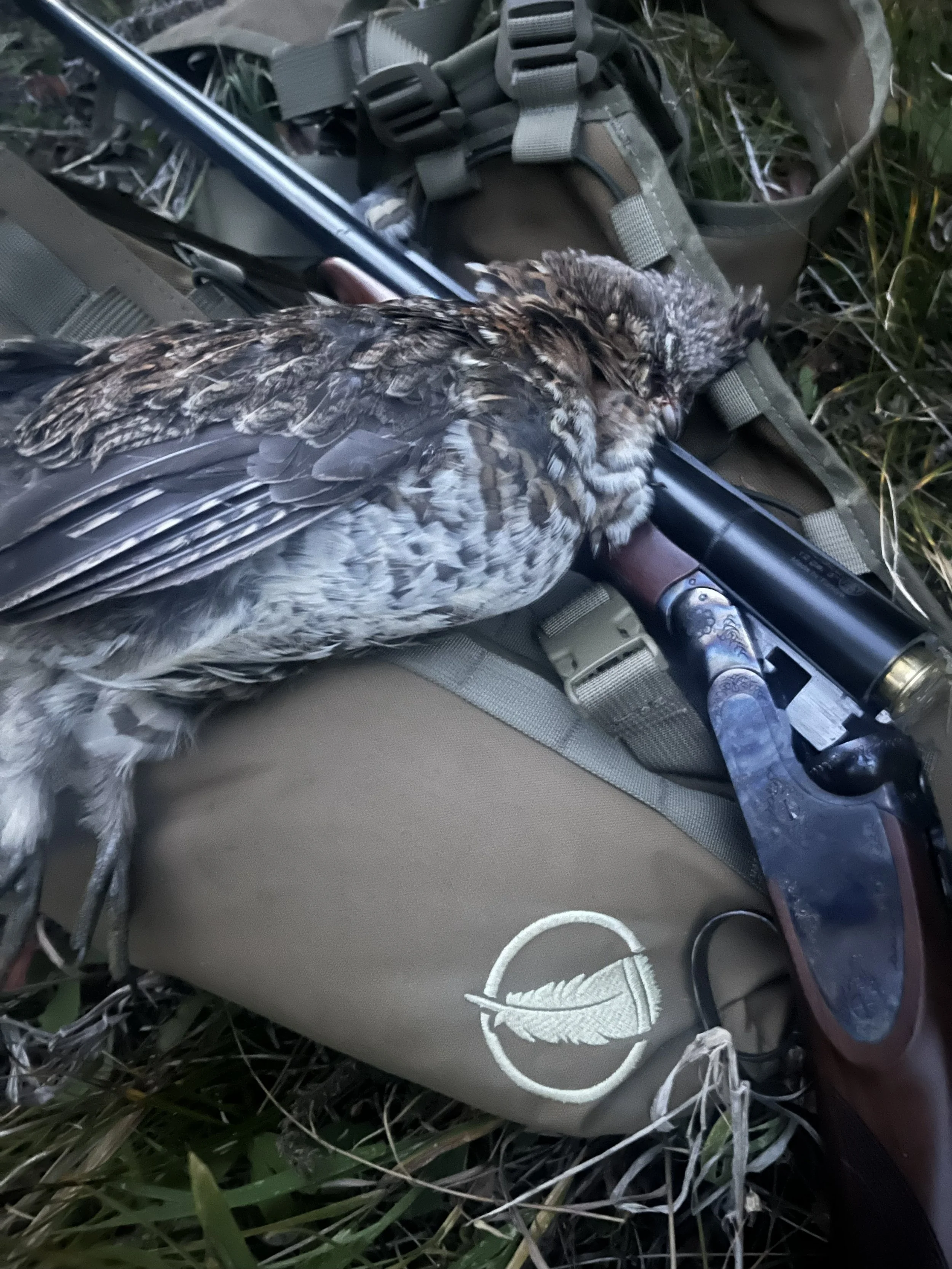 A deceased bird lying beside a shotgun gun on a tactical backpack with a feather logo, outdoors in grass and foliage.