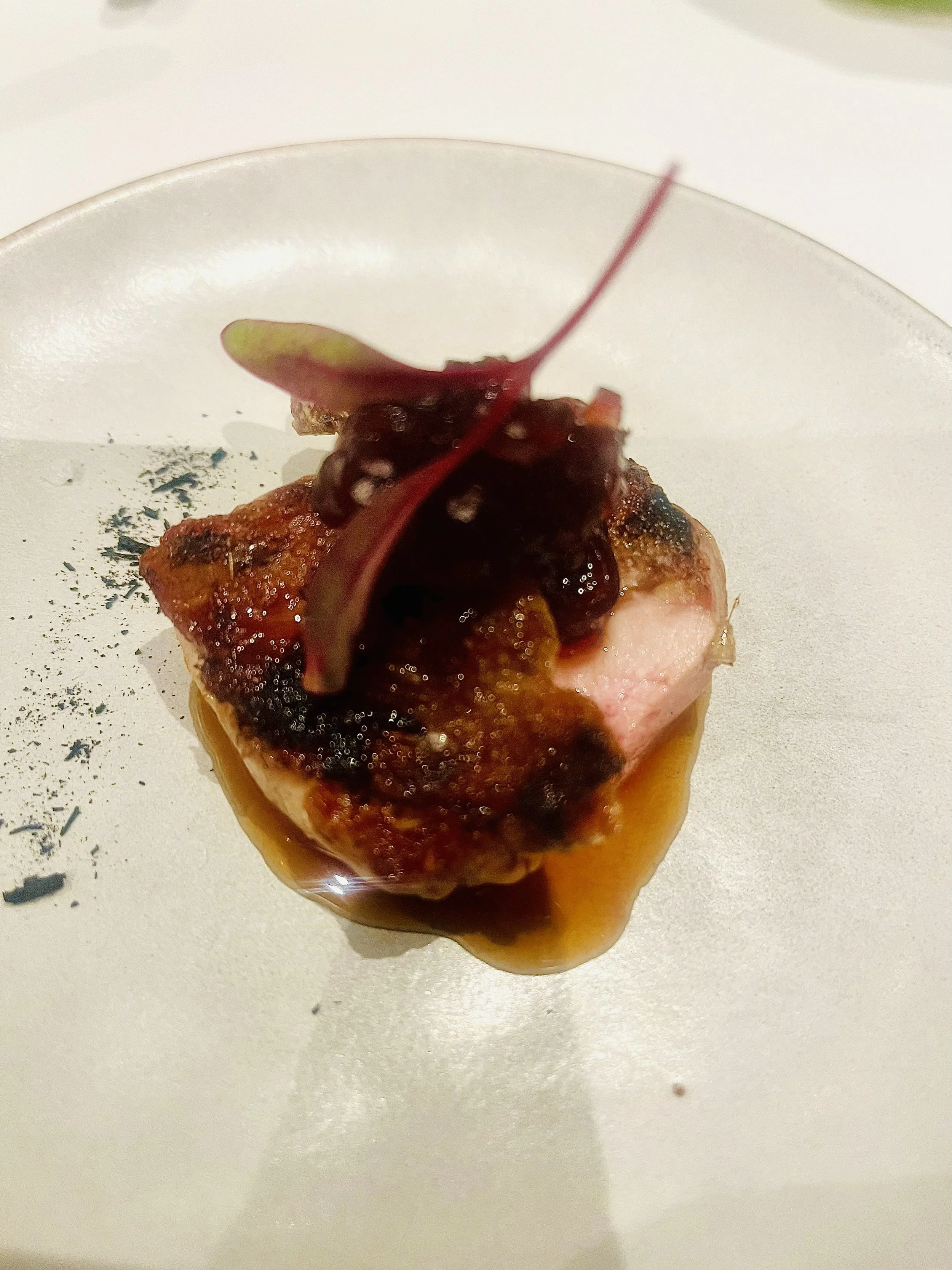 Gourmet meat dish with sauce and garnishes on a white plate.