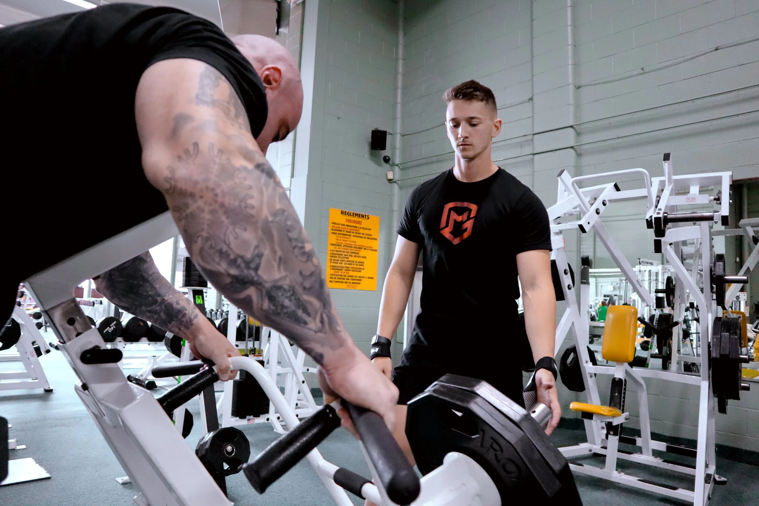 General Health & Performance - Online Coaching