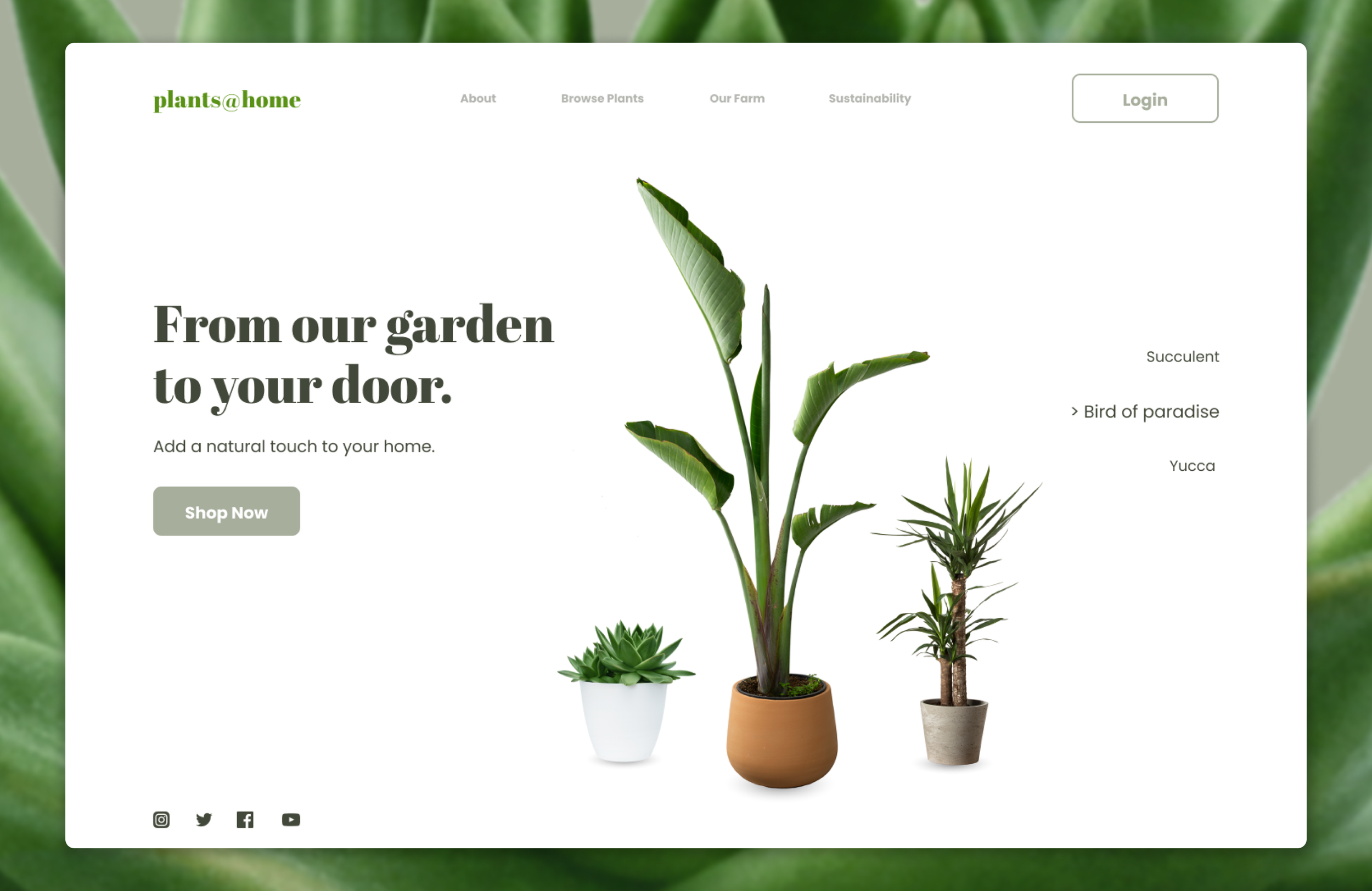 Sample landing page for an online plant shop.
