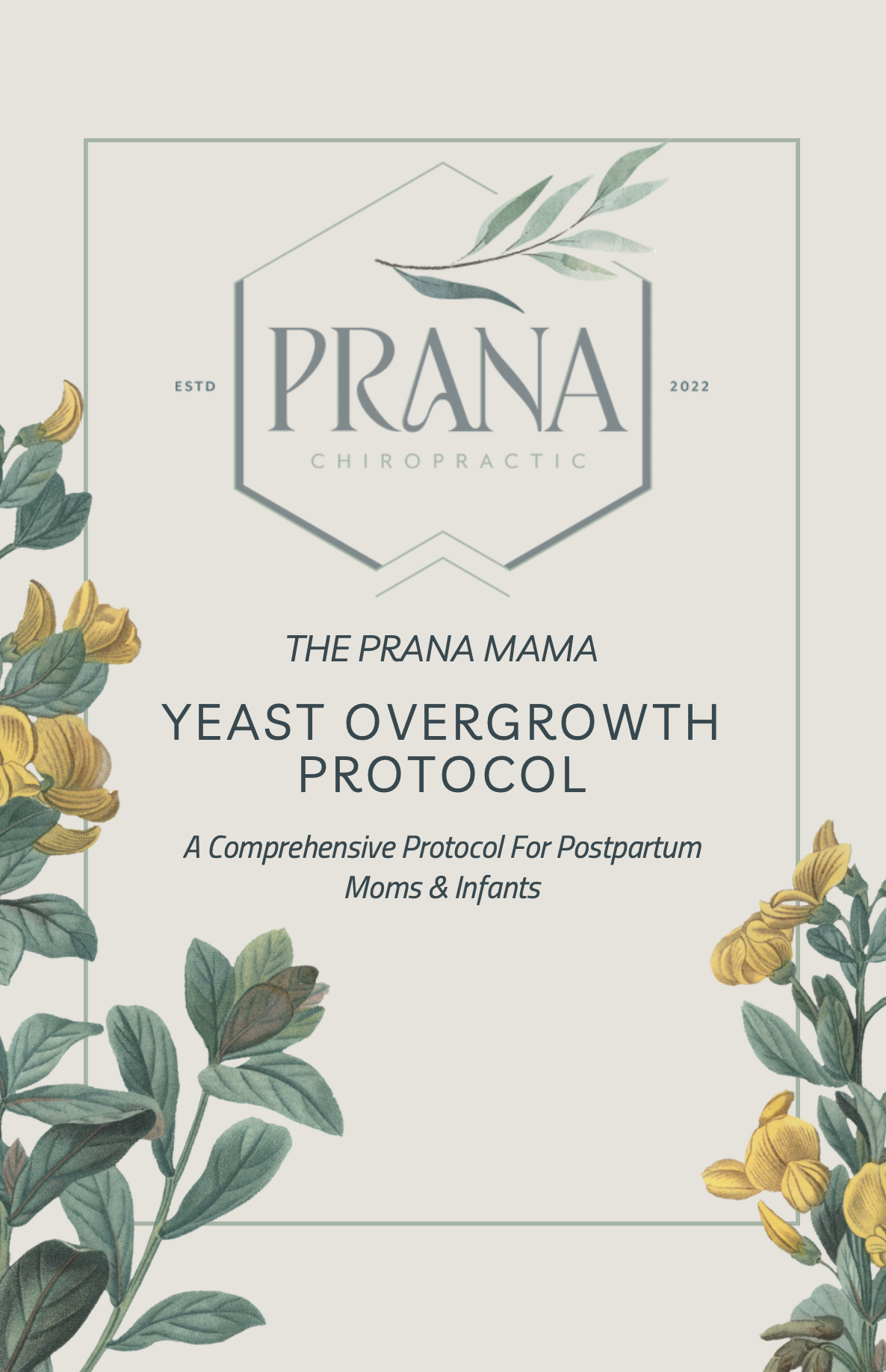 Yeast Overgrowth Protocol for Postpartum Mamas & Infants