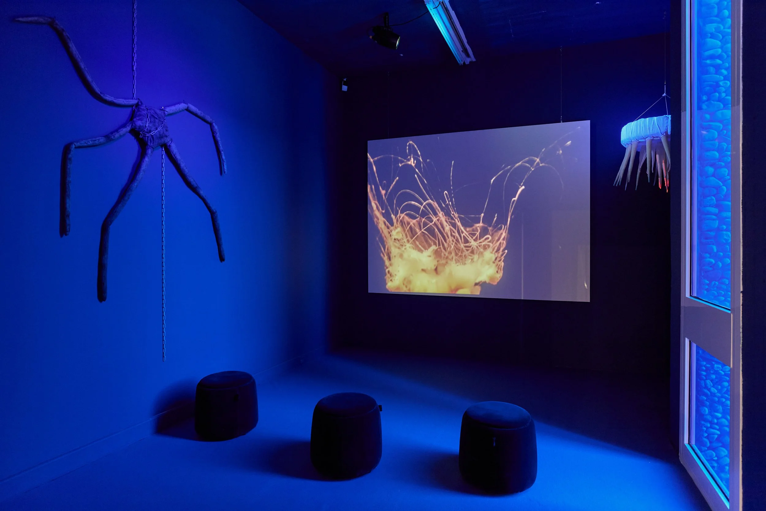 091_expoMAI25_72dpi©Jeanchristophe Lett.jpg