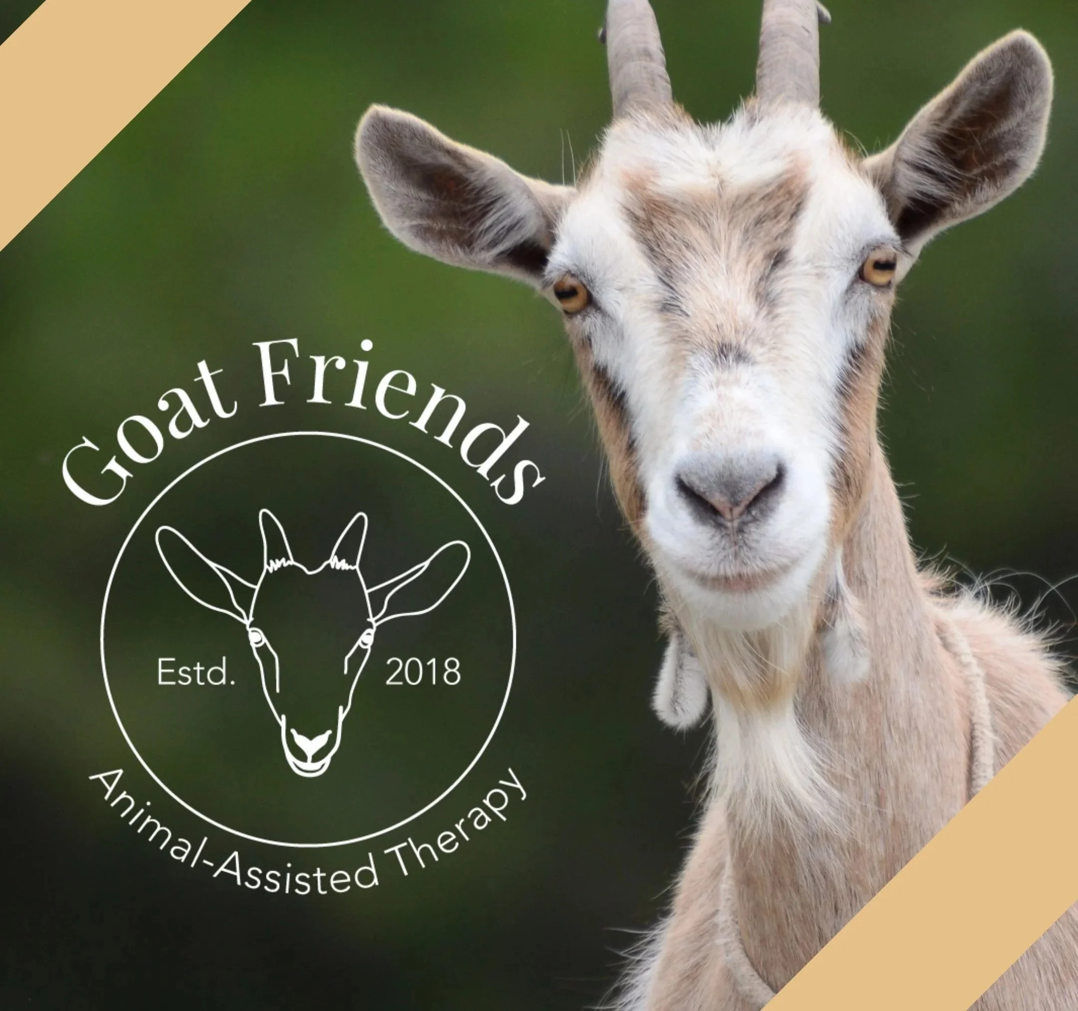 Goat Friends: Animal-Assisted Therapy