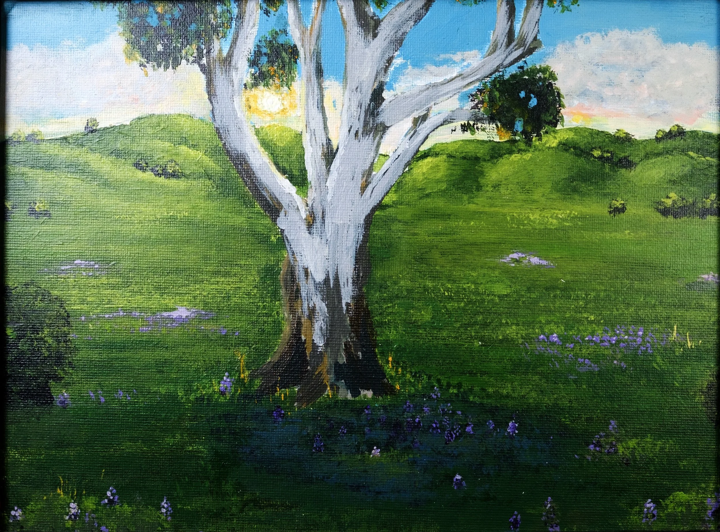 Akasha Willis - Eucalyptus In Valley.jpeg