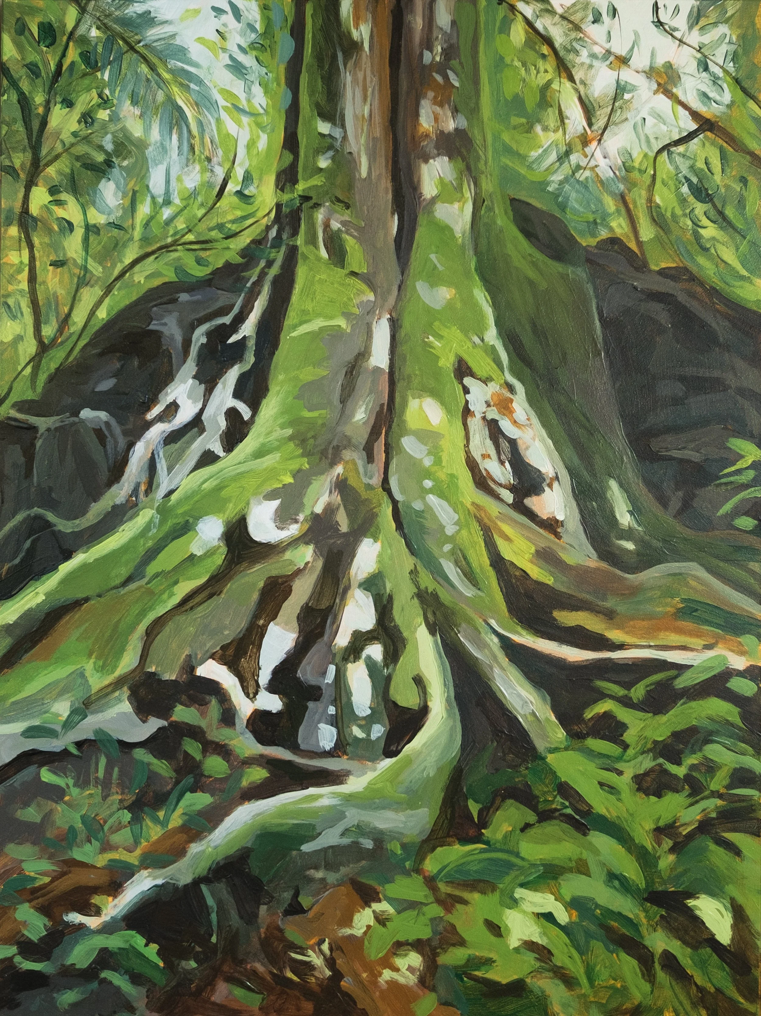 Renata Abma - Osa Peninsula