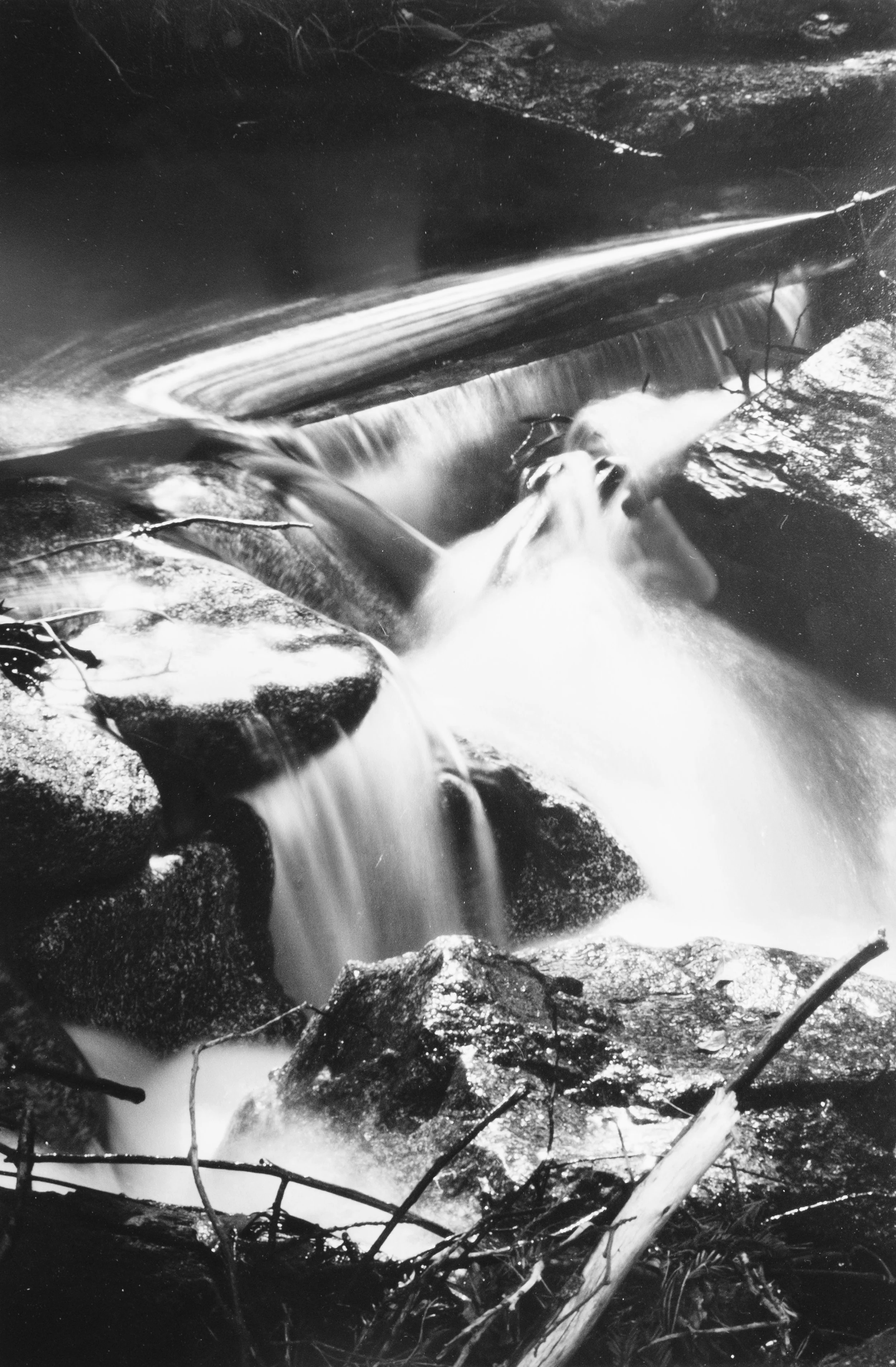 Elliott Pearltree - Waterworks.jpeg